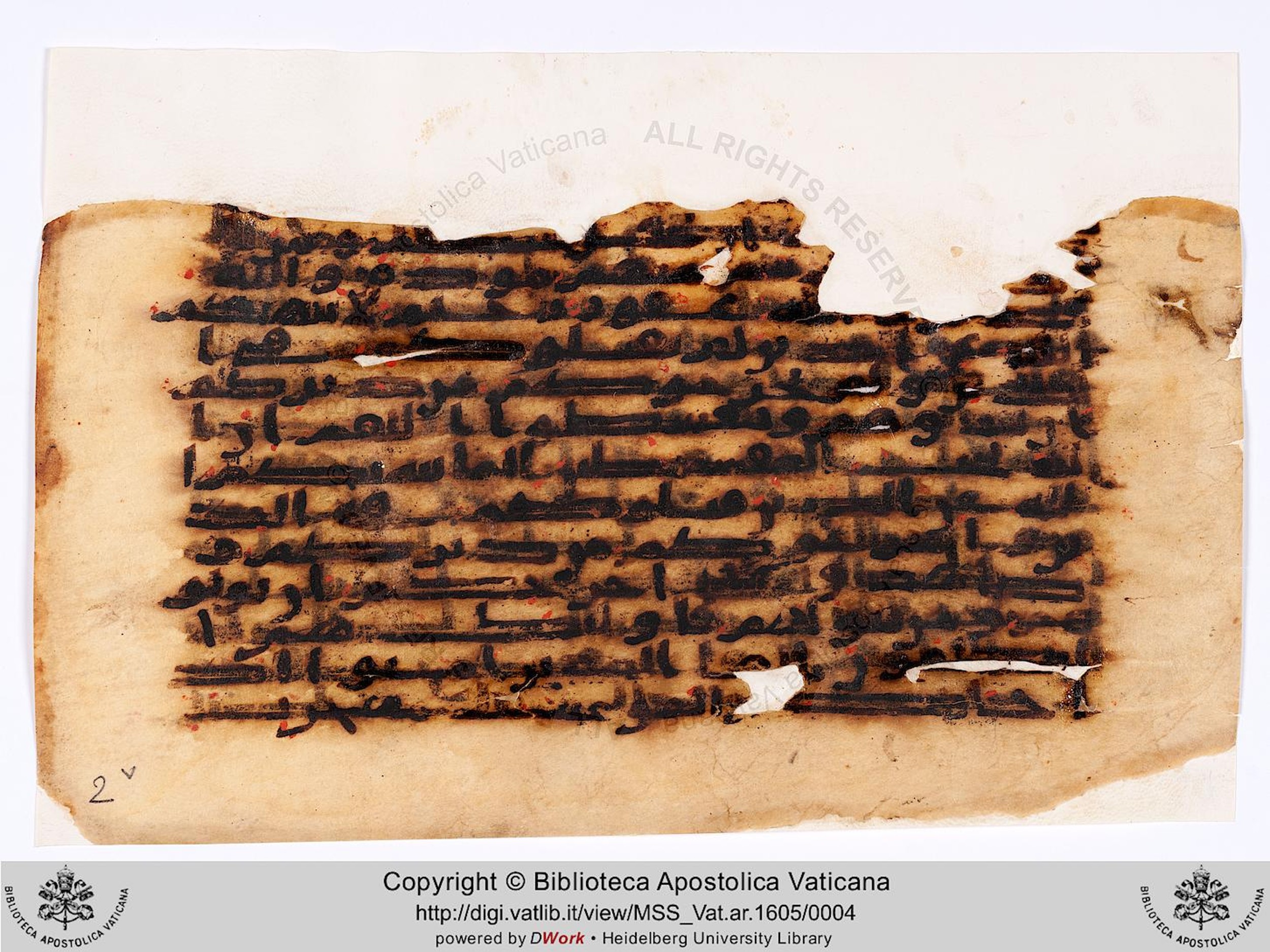 Rome, Biblioteca Apostolica Vaticana, Vat. Ar. 1605 (2), in kūfī F.I script, showing Surah 60:7 from 8th to 9th Century AD found in Unknown, currently housed at Biblioteca Apostolica Vaticana, Rome