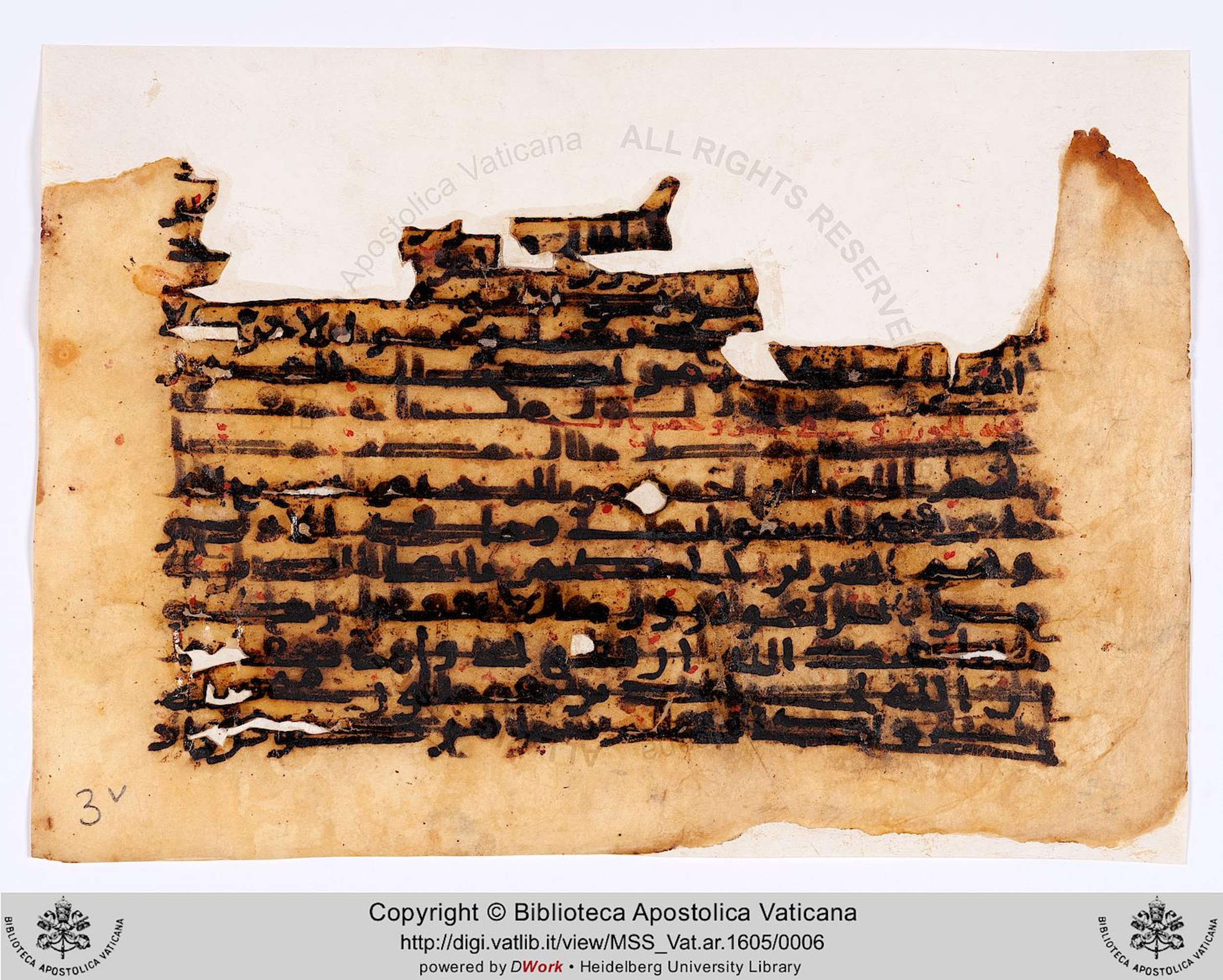 Vat. Ar. 1605 (3), in kūfī C script, showing Surah 60:13 from 8th to 9th Century AD found in Unknown, currently housed at Biblioteca Apostolica Vaticana, Rome
