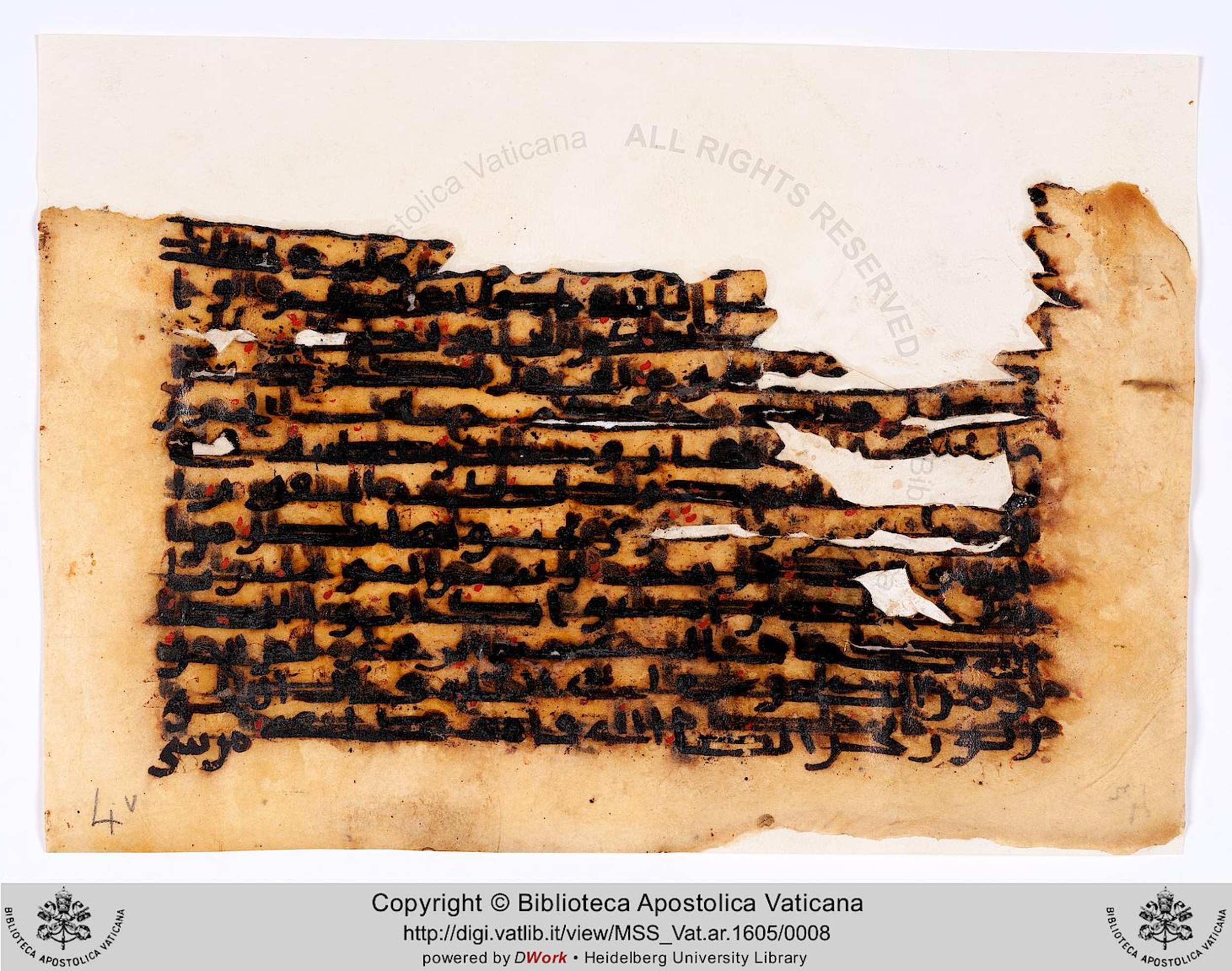 Rome, Biblioteca Apostolica Vaticana, Vat. Ar. 1605 (4), in kūfī C script, showing Surah 61:13 from 8th to 9th Century AD found in Unknown, currently housed at Biblioteca Apostolica Vaticana, Rome