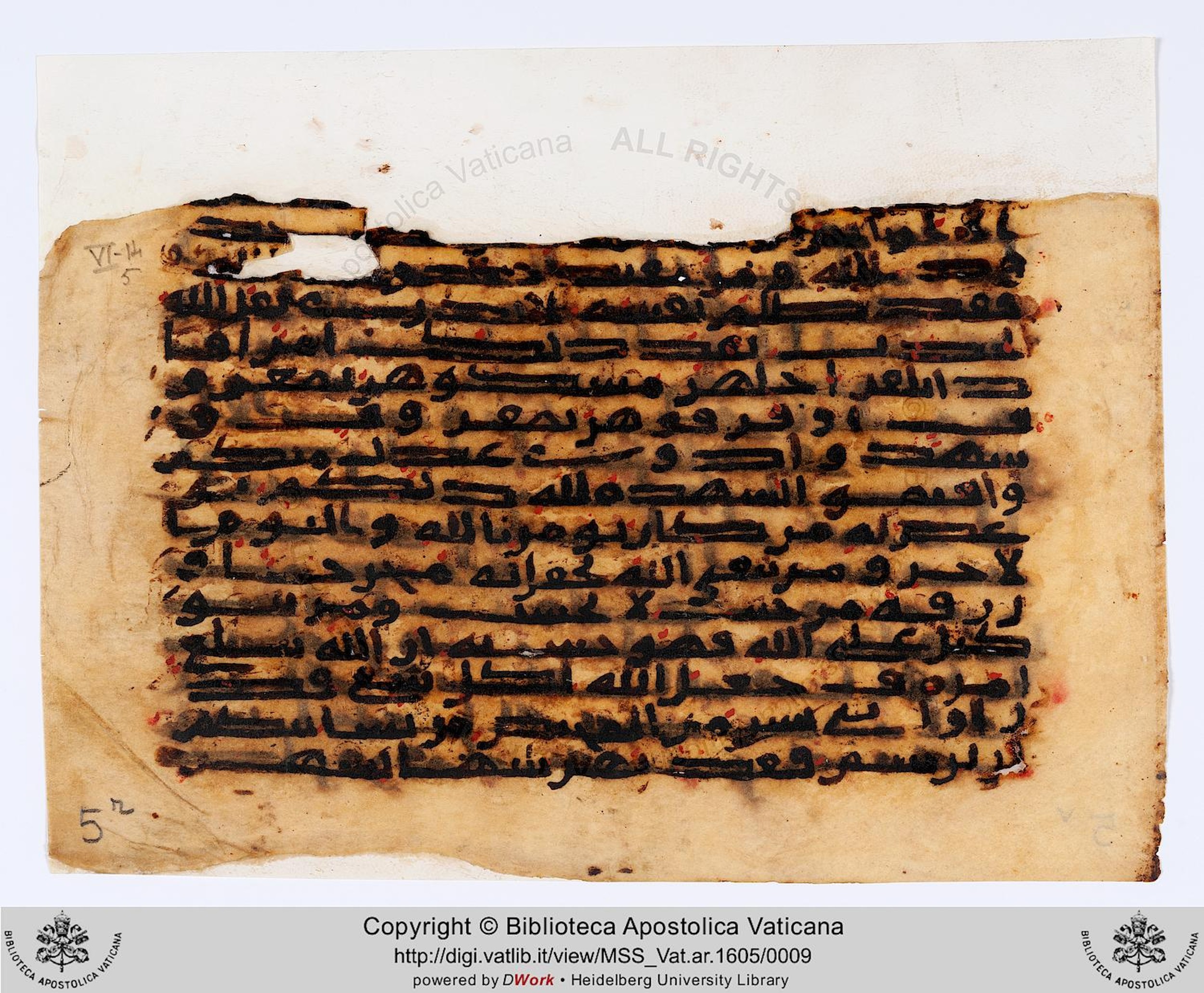 Rome, Biblioteca Apostolica Vaticana, Vat. Ar. 1605 (5), in kūfī C script, showing Surah 65:3 from 8th to 9th Century AD found in Unknown, currently housed at Biblioteca Apostolica Vaticana, Rome, Italy