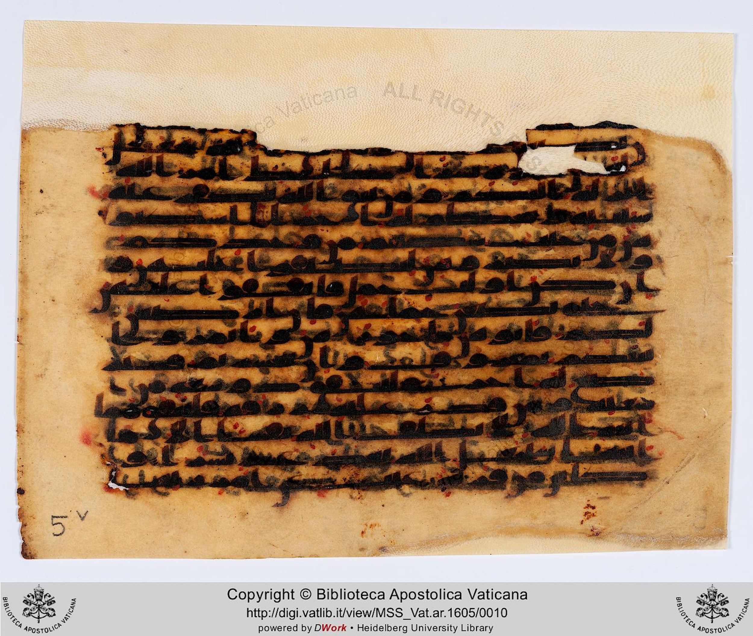 Rome, Biblioteca Apostolica Vaticana, Vat. Ar. 1605 (5) (Scan 2), in kūfī C script, showing Surah 65:4 from 8th to 9th Century AD found in Unknown, currently housed at Biblioteca Apostolica Vaticana, Rome, Italy