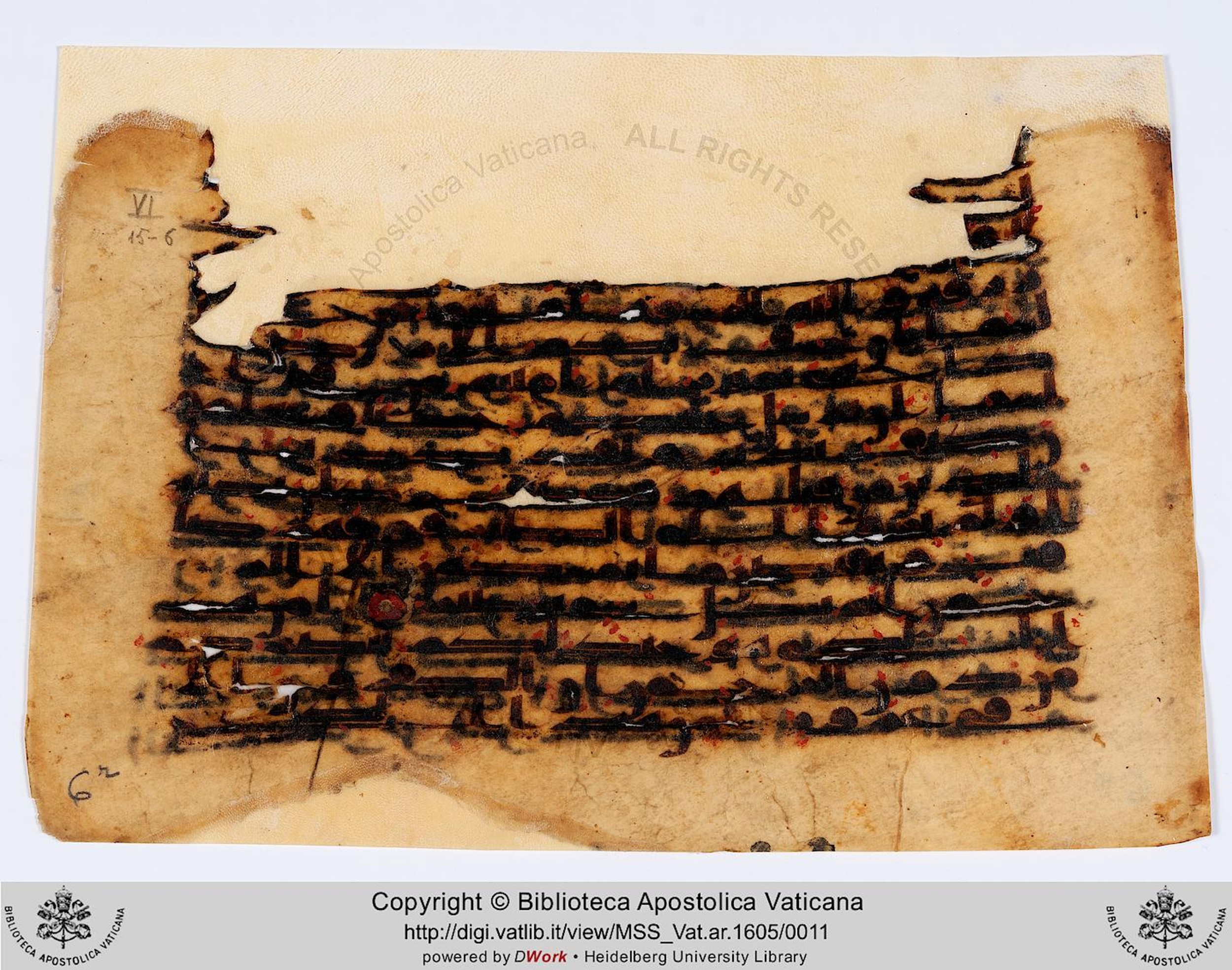 Rome, Biblioteca Apostolica Vaticana, Vat. Ar. 1605 (6), in Kūfī C script, showing Surah 67:21 from 8th to 9th Century AD found in Unknown, currently housed at Biblioteca Apostolica Vaticana, Rome