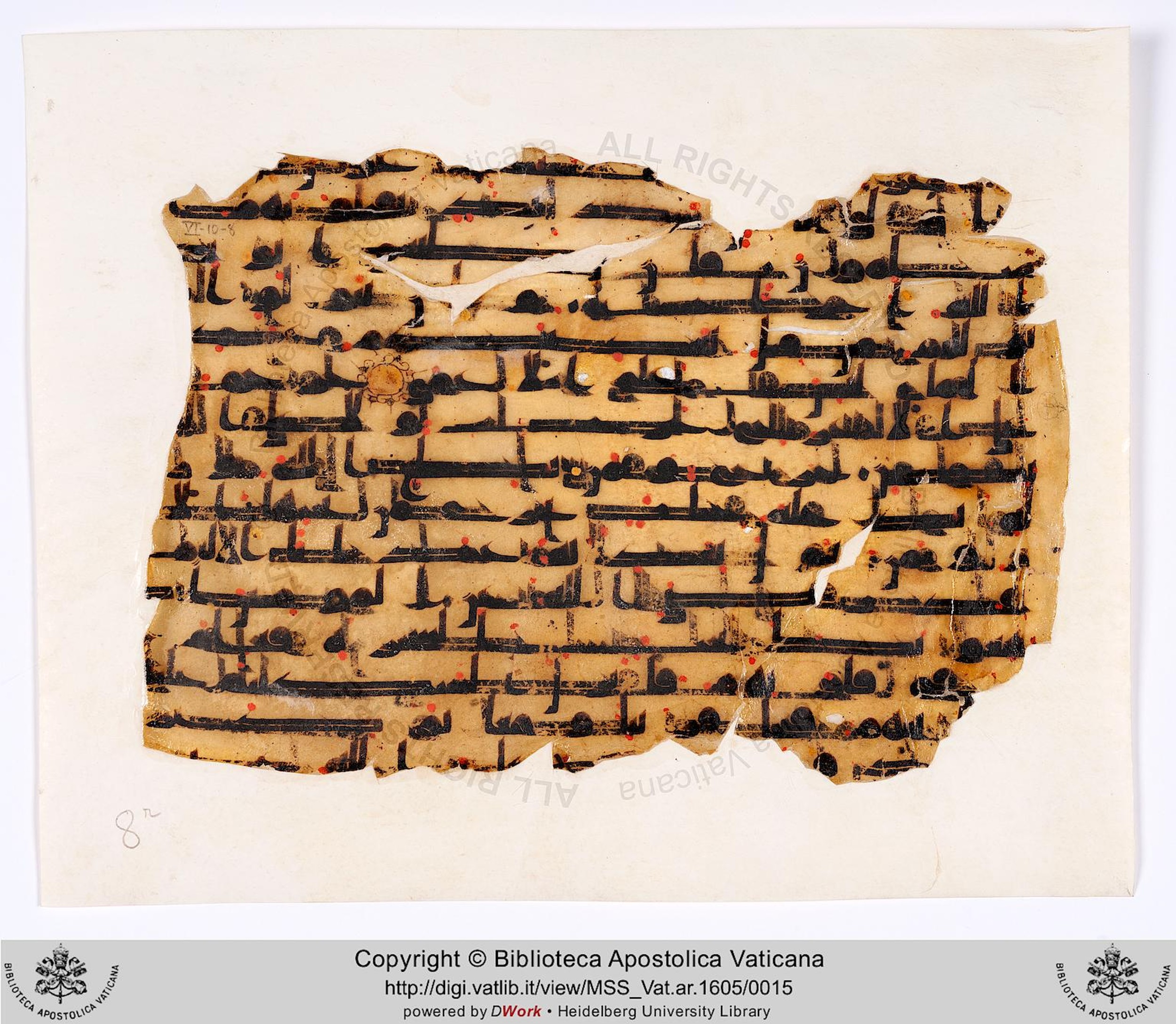 Rome, Biblioteca Apostolica Vaticana, Vat. Ar. 1605 (8), in kūfī D.II script, showing Surah 48:18 from 8th to 9th Century AD found in al-Fusṭāṭ, currently housed at Biblioteca Apostolica Vaticana, Rome