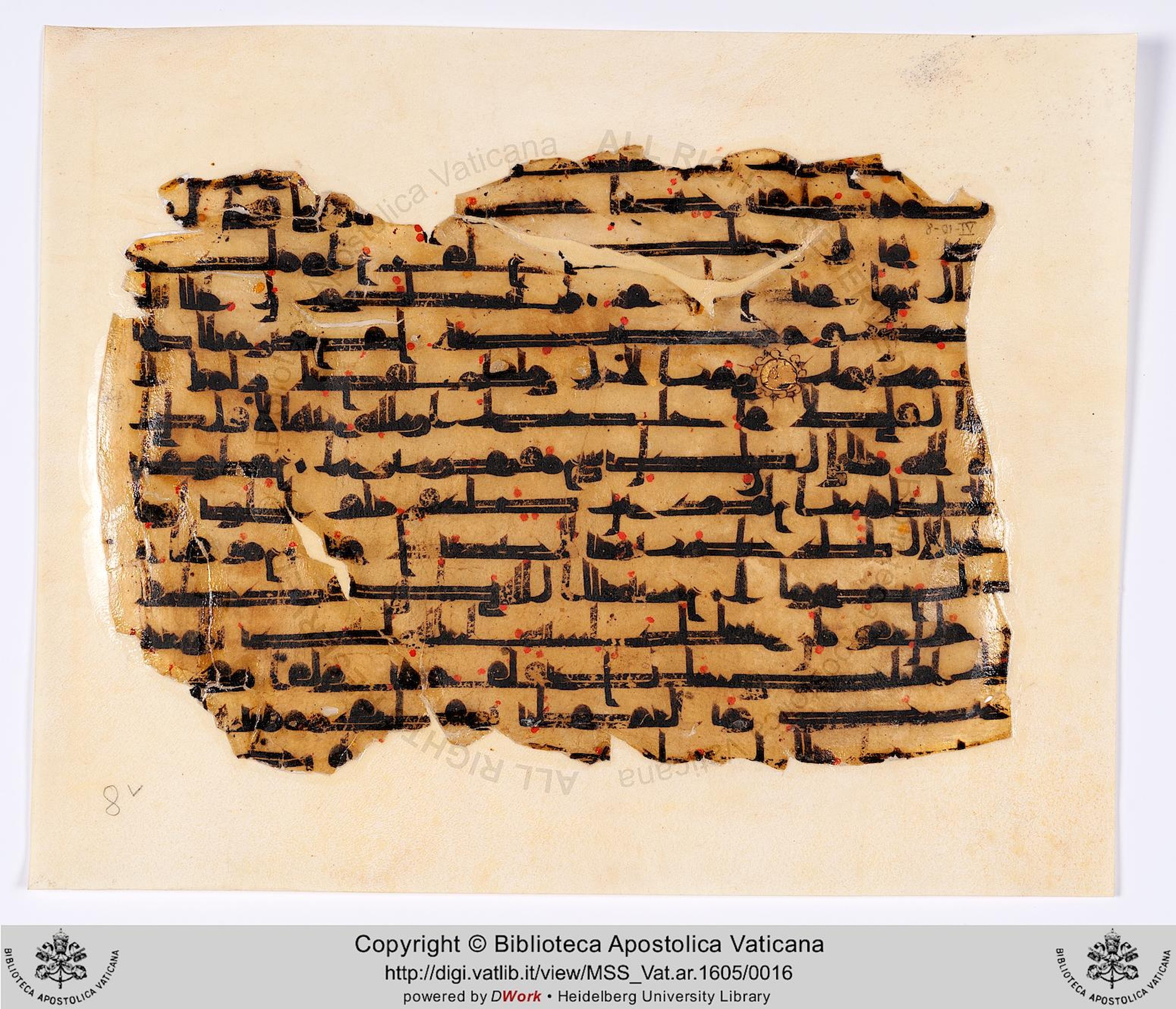 Rome, Biblioteca Apostolica Vaticana, Vat. Ar. 1605 (8), in kūfī D.II script, showing Surah 48:21 from 8th to 9th Century AD found in al-Fusṭāṭ, currently housed at Biblioteca Apostolica Vaticana, Rome