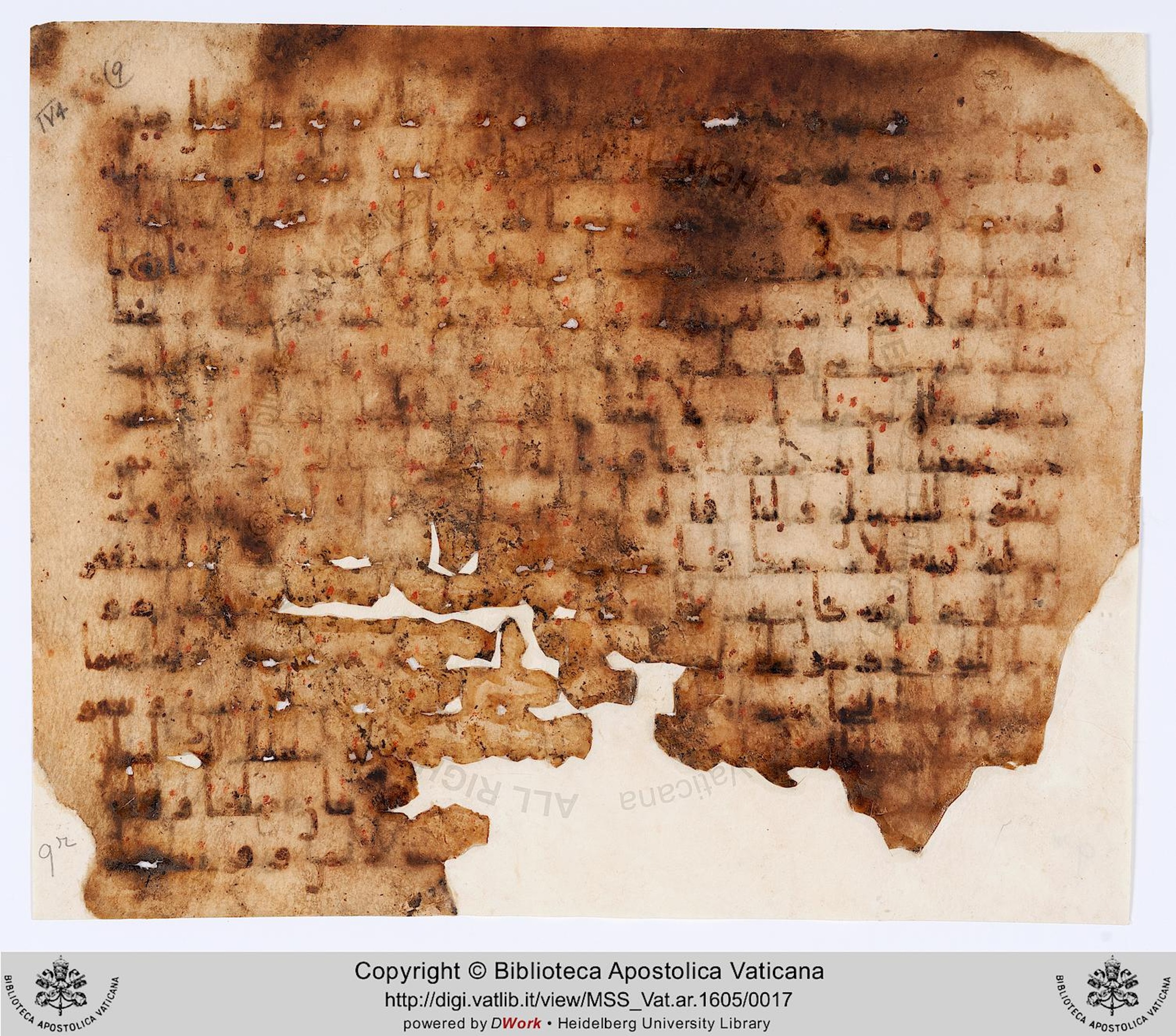 Rome, Biblioteca Apostolica Vaticana, Vat. Ar. 1605 (9), in kūfī B.Ib script, showing Surah 19:39 from 8th to 9th Century AD found in Fustat (Old Cairo), Egypt, currently housed at Biblioteca Apostolica Vaticana, Rome