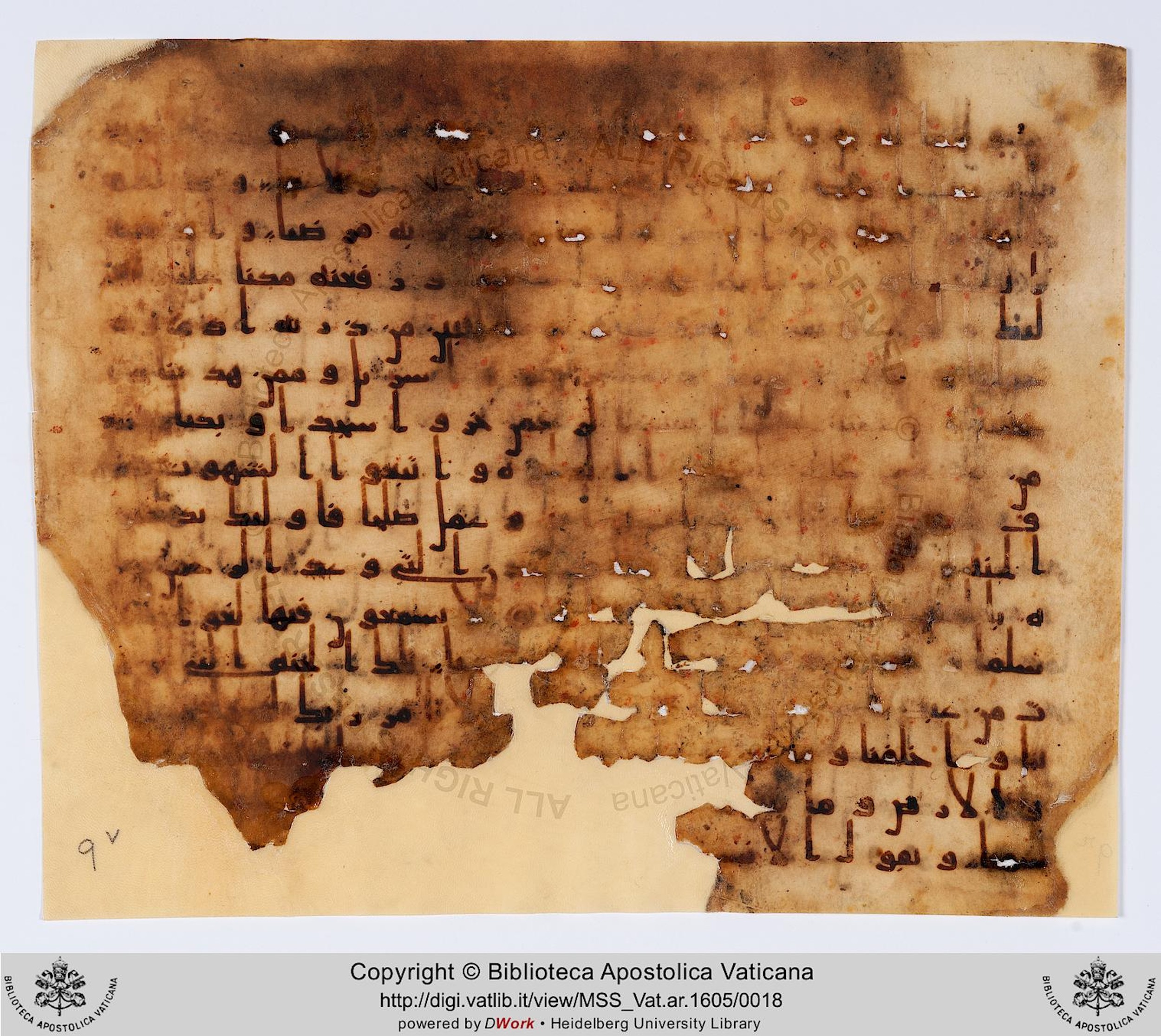 Rome, Biblioteca Apostolica Vaticana, Vat. Ar. 1605 (9), in kūfī B.Ib script, showing Surah 19:63 from 8th to 9th Century AD found in Fustat (Old Cairo), Egypt, currently housed at Biblioteca Apostolica Vaticana, Rome