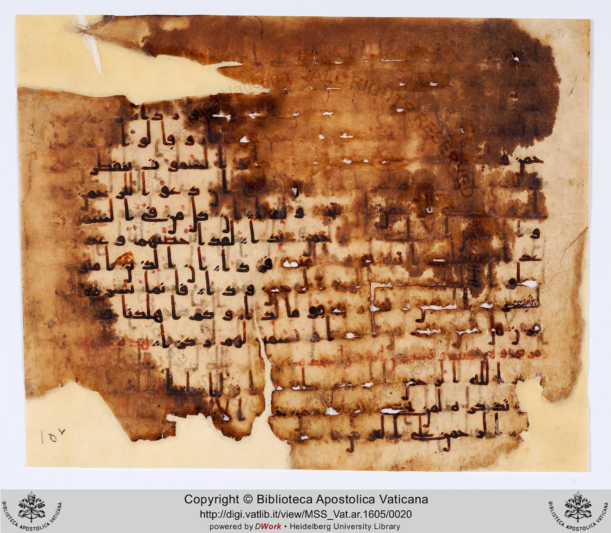Rome, Biblioteca Apostolica Vaticana, Vat. Ar. 1605 (10), in kūfī B.Ib script, showing Surah 20:2 from Mid 7th to Mid 8th Century AD found in Fustat (Old Cairo), Egypt, currently housed at Biblioteca Apostolica Vaticana, Rome