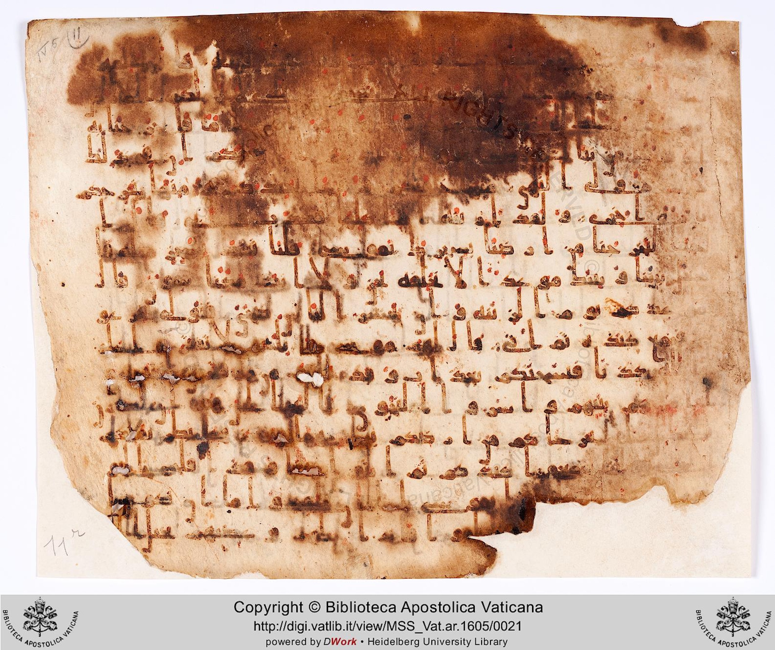 Rome, Biblioteca Apostolica Vaticana, Vat. Ar. 1605 (11), in kūfī B.Ib script, showing Surah 20:52 from Early 8th to Late 9th Century AD found in al-Fusṭāṭ (Old Cairo), Egypt, currently housed at Biblioteca Apostolica Vaticana, Rome
