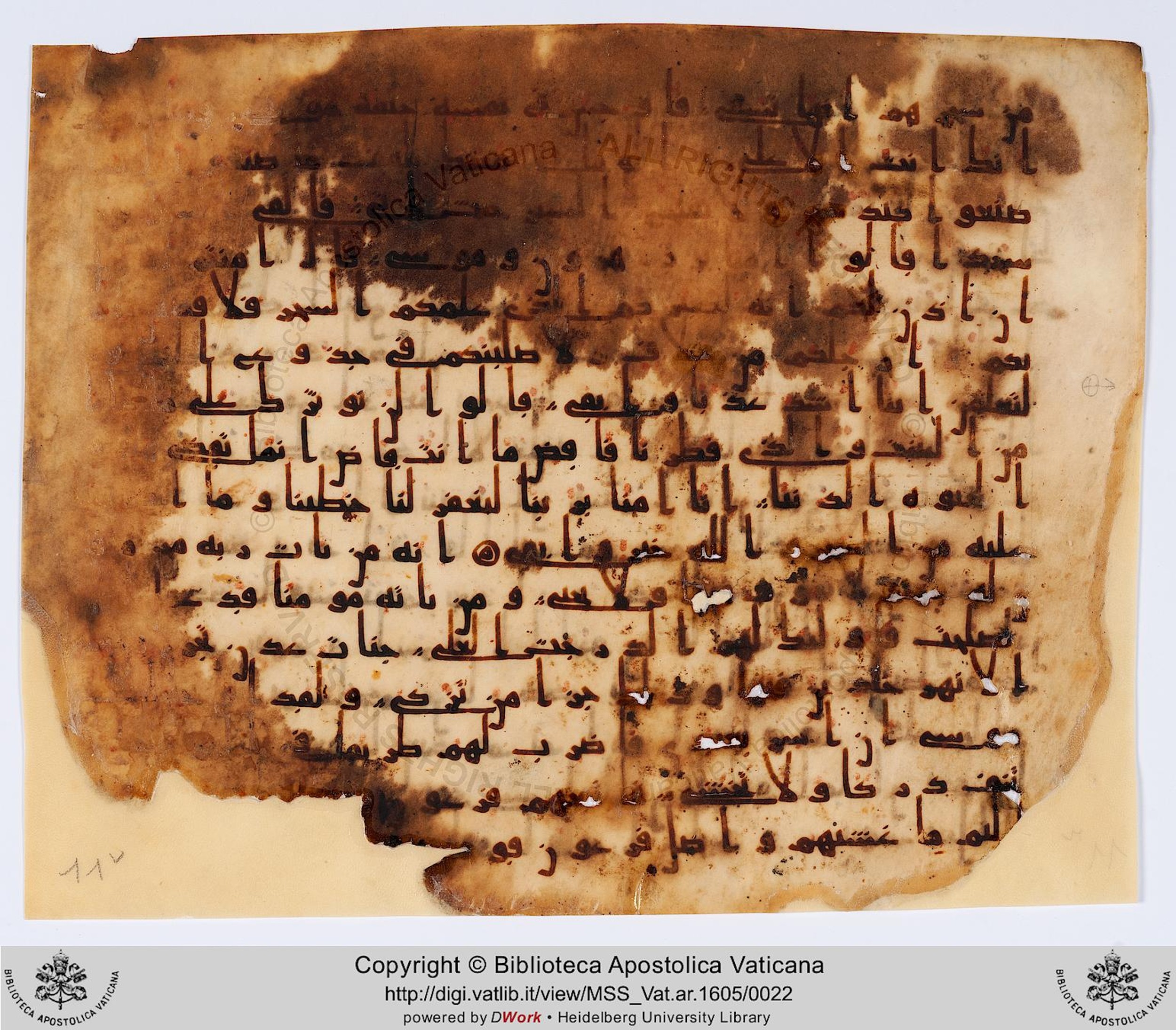 Rome, Biblioteca Apostolica Vaticana, Vat. Ar. 1605 (11), in kūfī B.Ib script, showing Surah 20:71 from Early 8th to Late 9th Century AD found in al-Fusṭāṭ (Old Cairo), Egypt, currently housed at Biblioteca Apostolica Vaticana, Rome