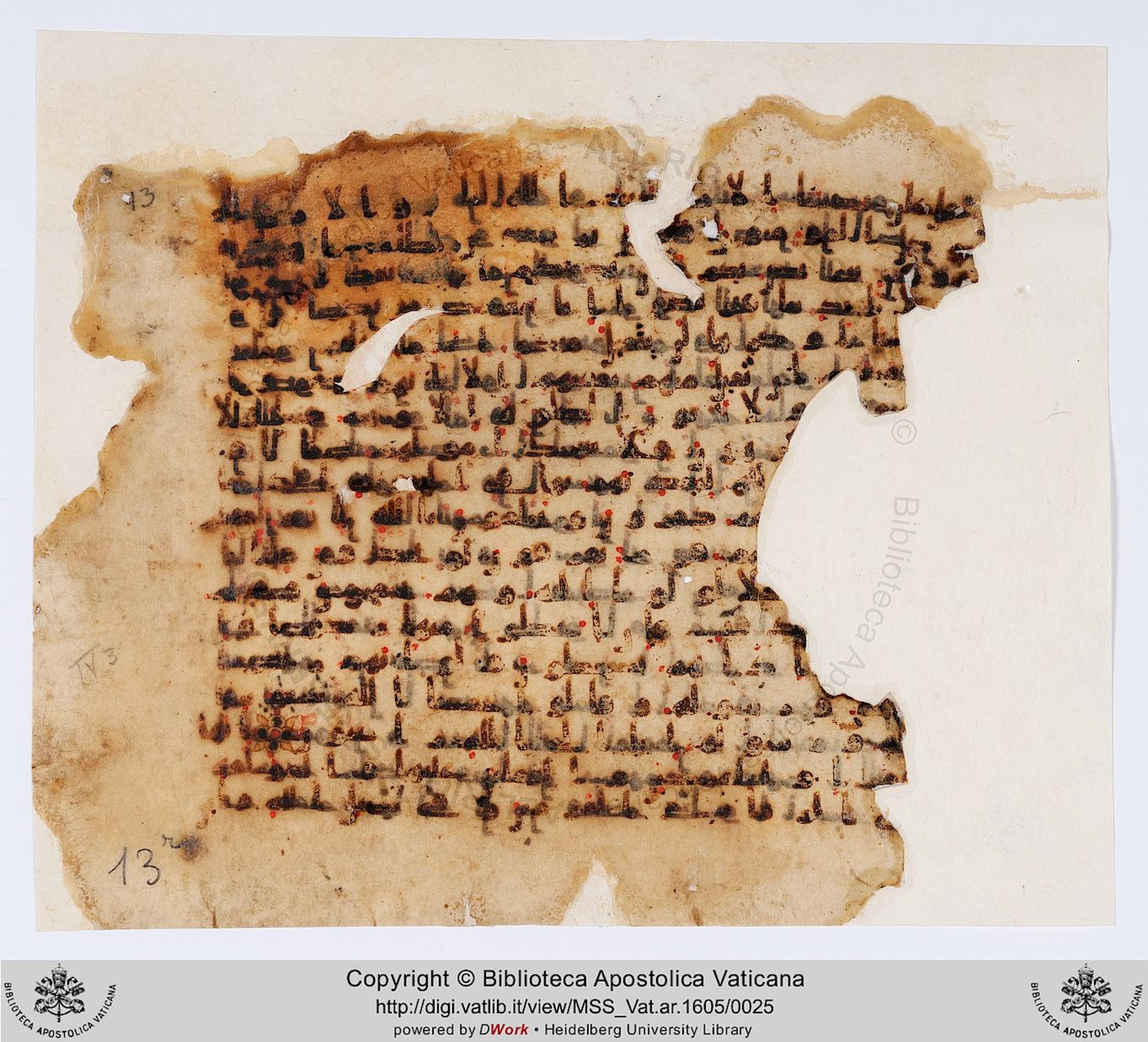 Vat. Ar. 1605 (13), in kūfī B.II script, showing Surah 9:56 from 8th to 9th Century AD found in Fustat (Old Cairo), Egypt, currently housed at Biblioteca Apostolica Vaticana, Rome
