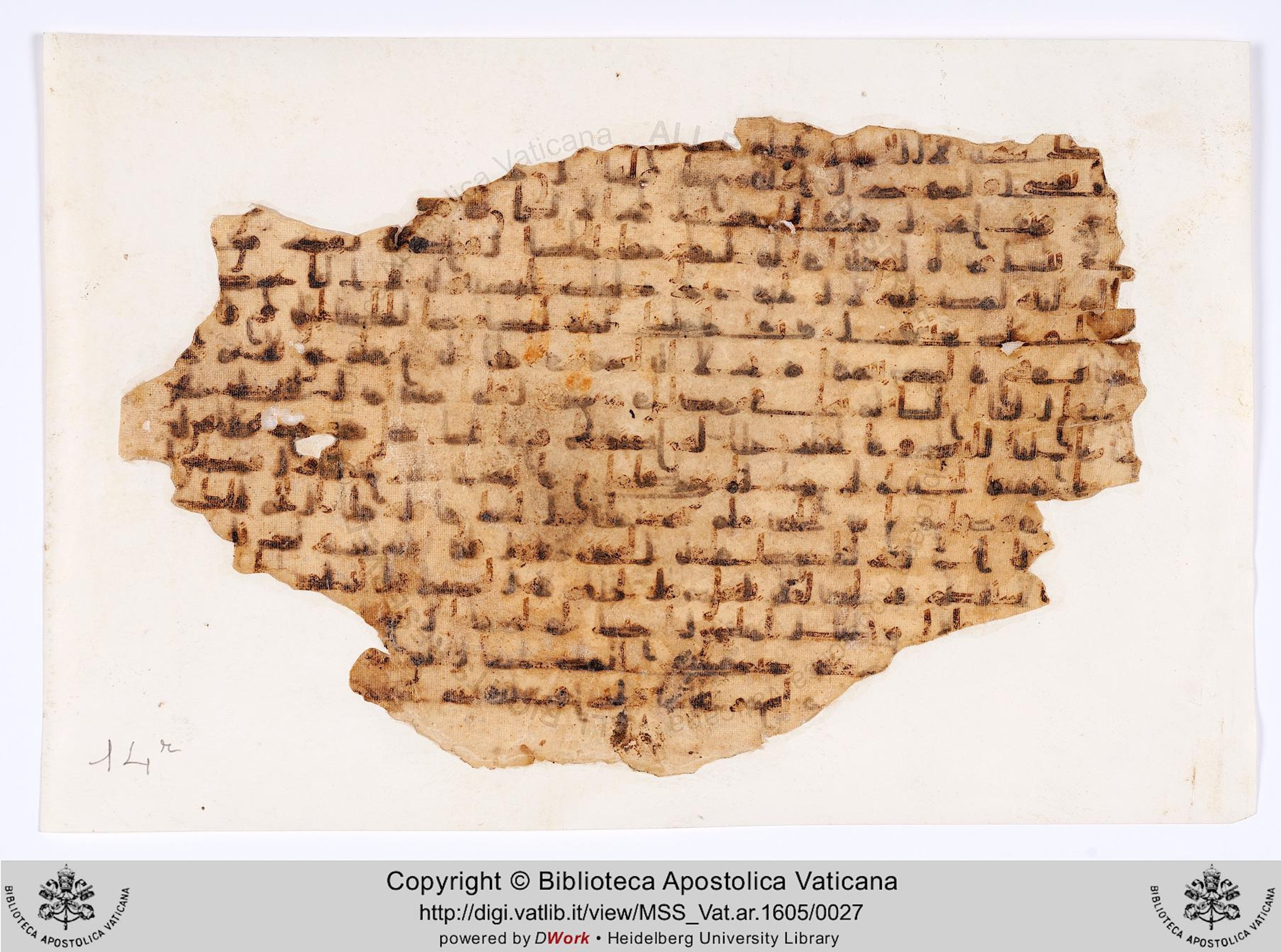 Biblioteca Apostolica Vaticana, Vat. Ar. 1605 (14), in kūfī B.Ia script, showing Surah 12:32 from 8th to 9th Century AD found in Unknown, currently housed at Biblioteca Apostolica Vaticana, Rome