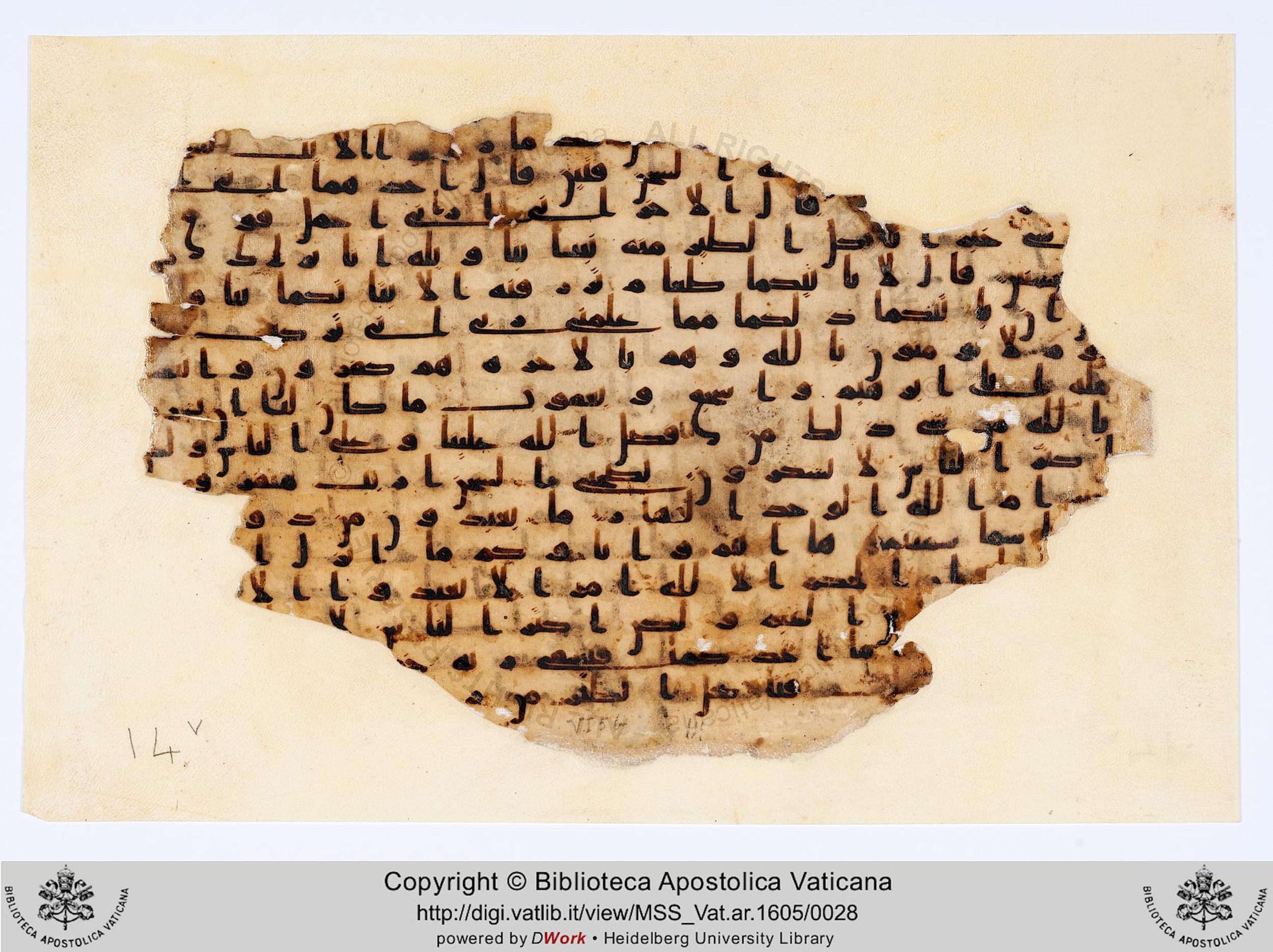 Biblioteca Apostolica Vaticana, Vat. Ar. 1605 (14), in kūfī B.Ia script, showing Surah 12:39 from 8th to 9th Century AD found in Unknown, currently housed at Biblioteca Apostolica Vaticana, Rome