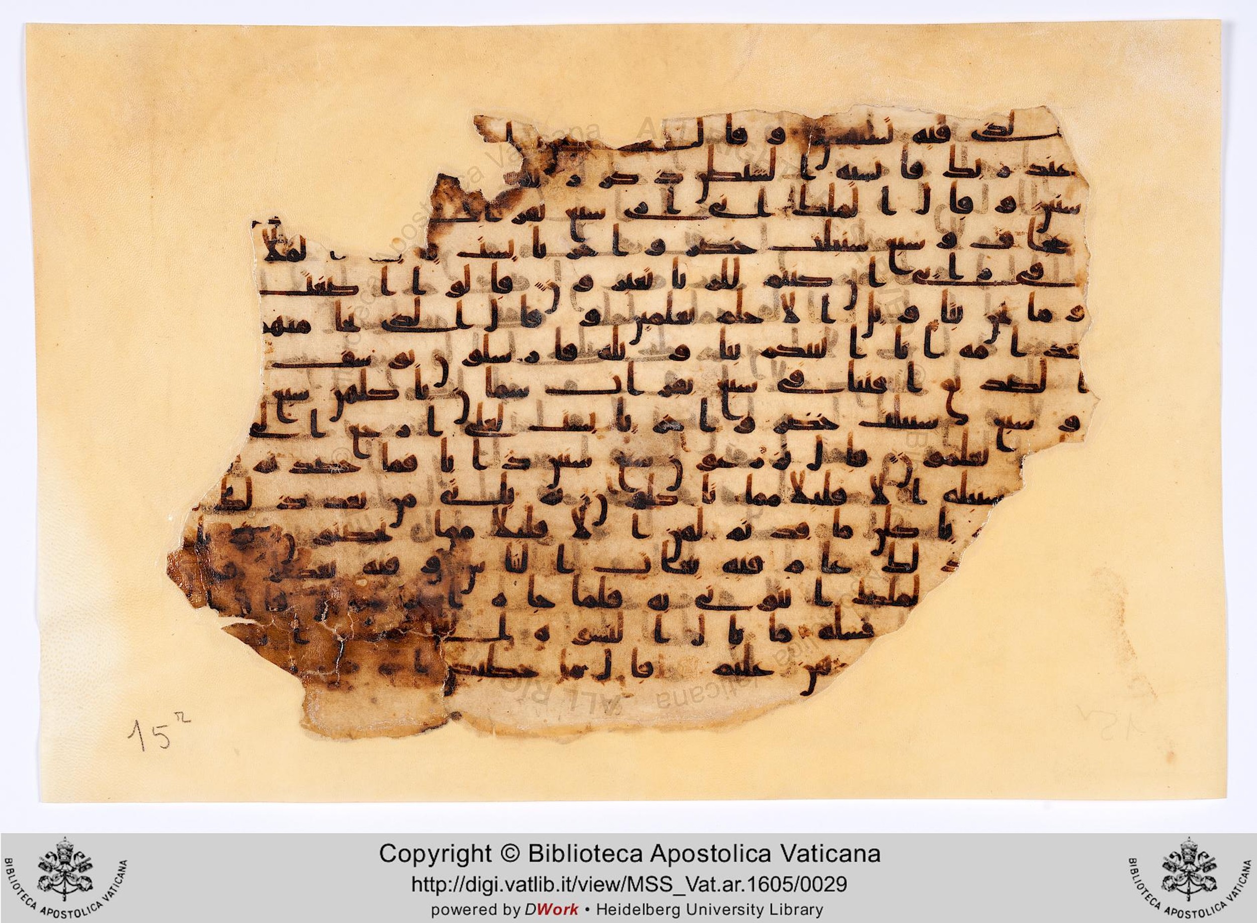 Rome, Biblioteca Apostolica Vaticana, Vat. Ar. 1605 (15), in kūfī B.Ia script, showing Surah 12:49 from 8th to 9th Century AD found in al-Fusṭāṭ, Egypt, currently housed at Biblioteca Apostolica Vaticana, Rome