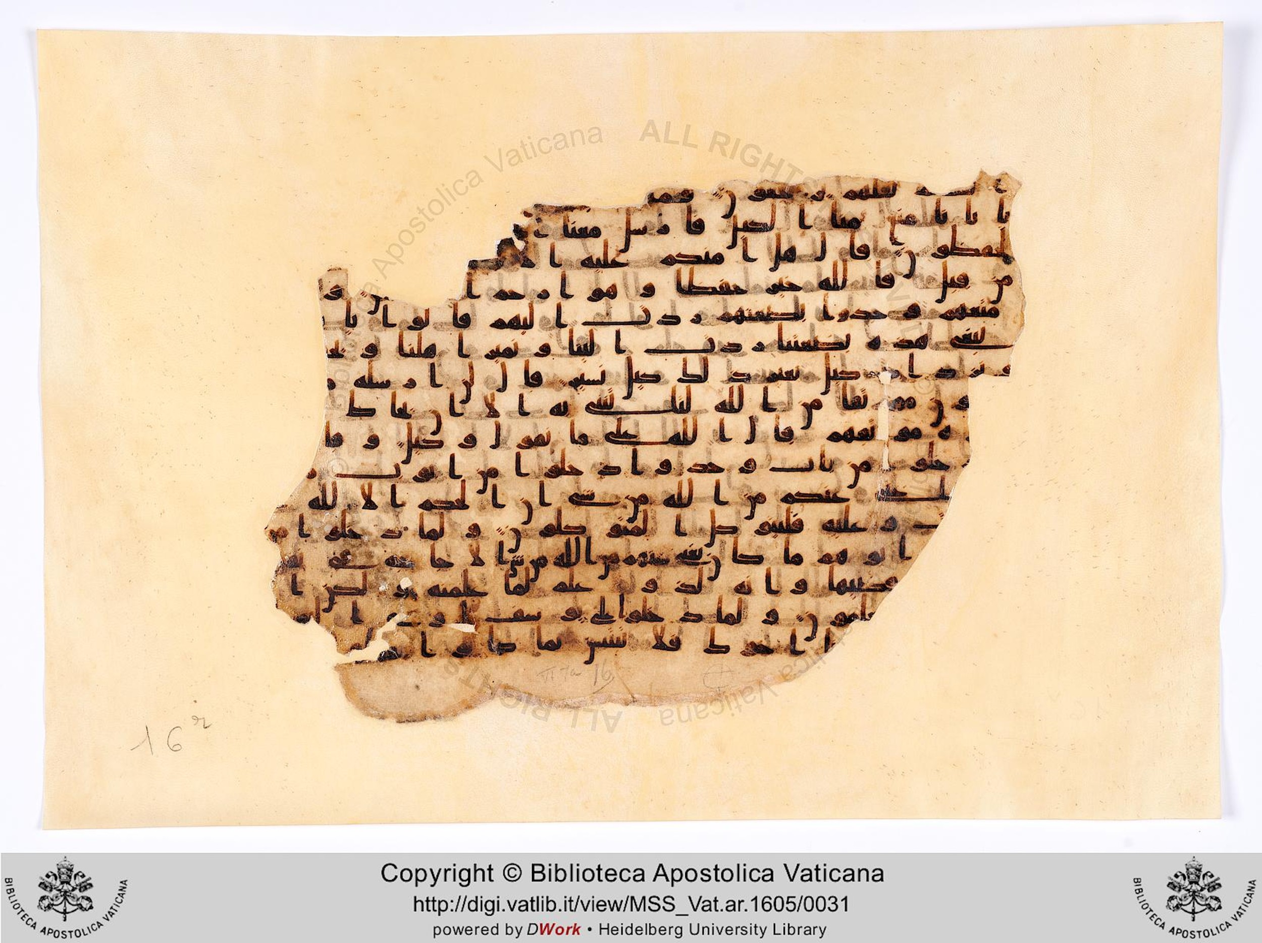 Codex Parisino-petropolitanus, in kūfī B.Ia script, showing Surah 12:64 from 8th to 9th Century AD found in al-Fusṭāṭ (Old Cairo), Egypt, currently housed at Biblioteca Apostolica Vaticana, Rome