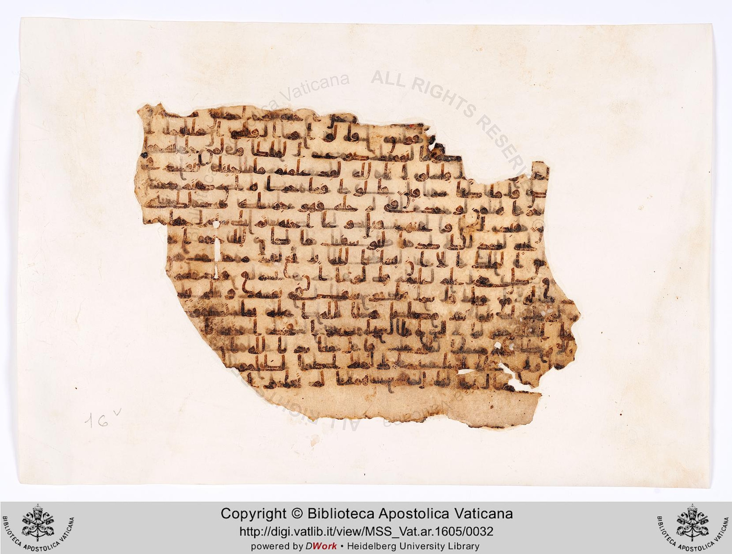 Codex Parisino-petropolitanus, in kūfī B.Ia script, showing Surah 12:71 from 8th to 9th Century AD found in al-Fusṭāṭ (Old Cairo), Egypt, currently housed at Biblioteca Apostolica Vaticana, Rome