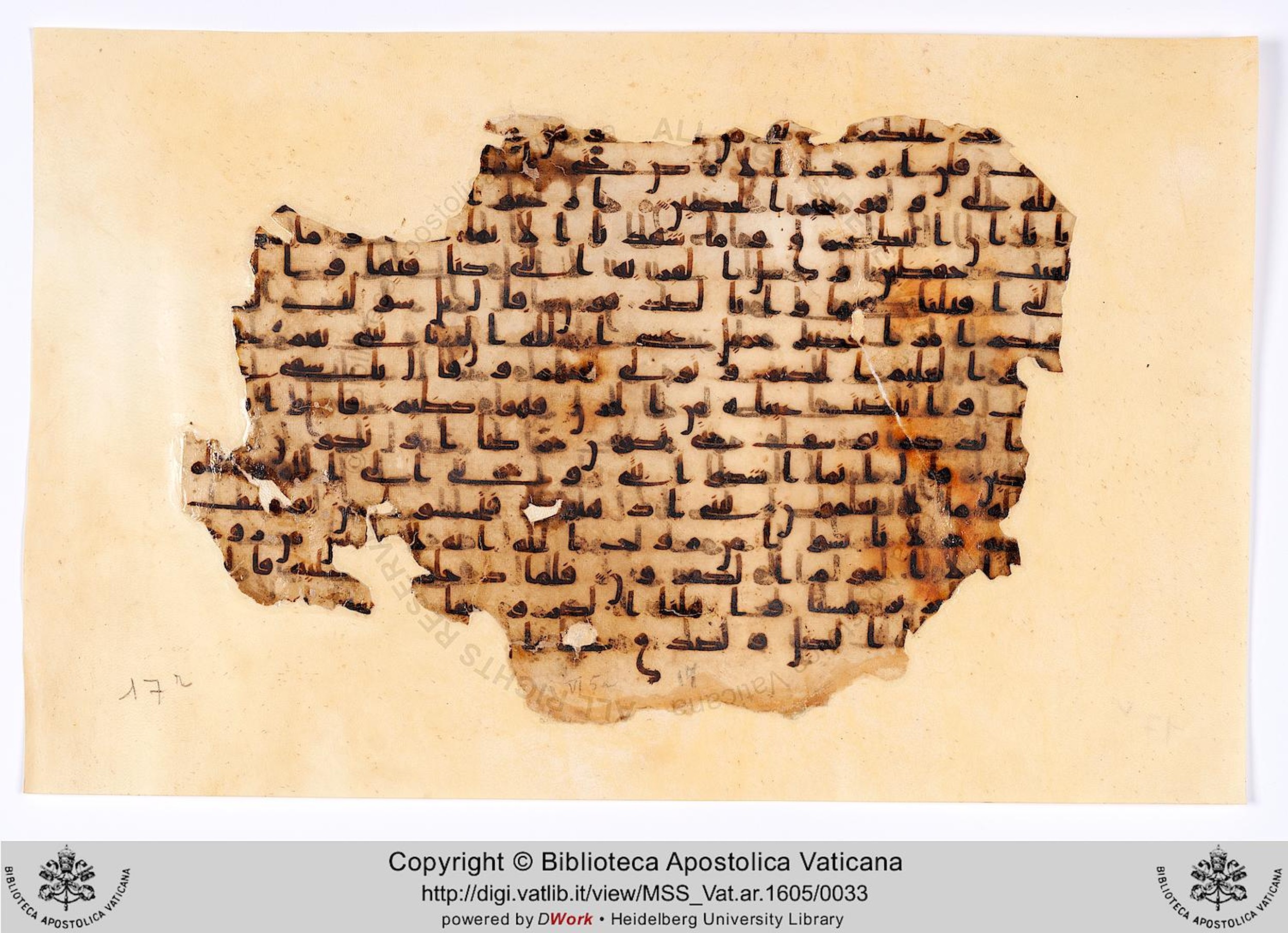 Vat. Ar. 1605 (17), in kūfī B.Ia script, showing Surah 12:83 from 8th to 9th Century AD found in al-Fusṭāṭ (Old Cairo), Egypt, currently housed at Biblioteca Apostolica Vaticana, Rome