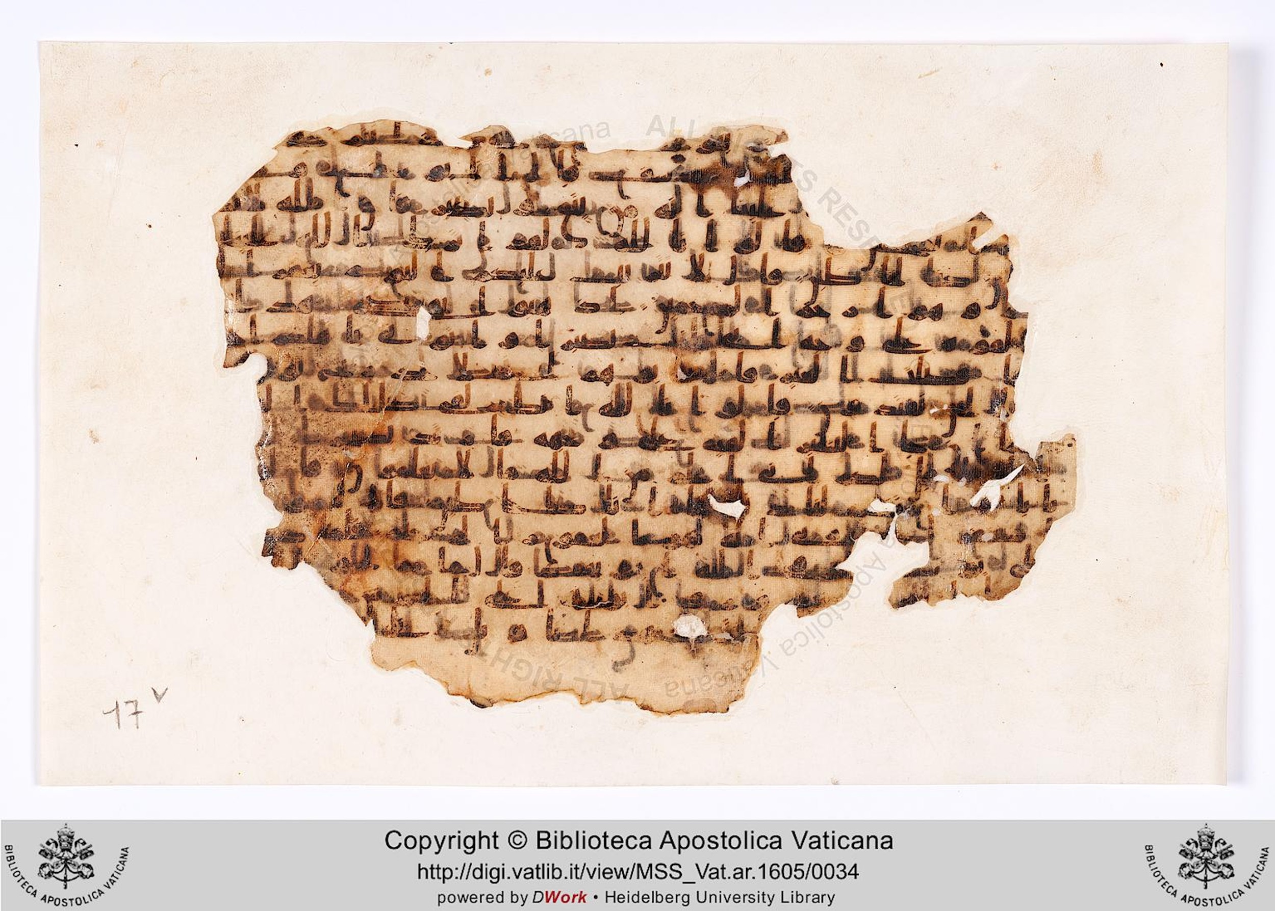 Vat. Ar. 1605 (17), in kūfī B.Ia script, showing Surah 12:97 from 8th to 9th Century AD found in al-Fusṭāṭ (Old Cairo), Egypt, currently housed at Biblioteca Apostolica Vaticana, Rome