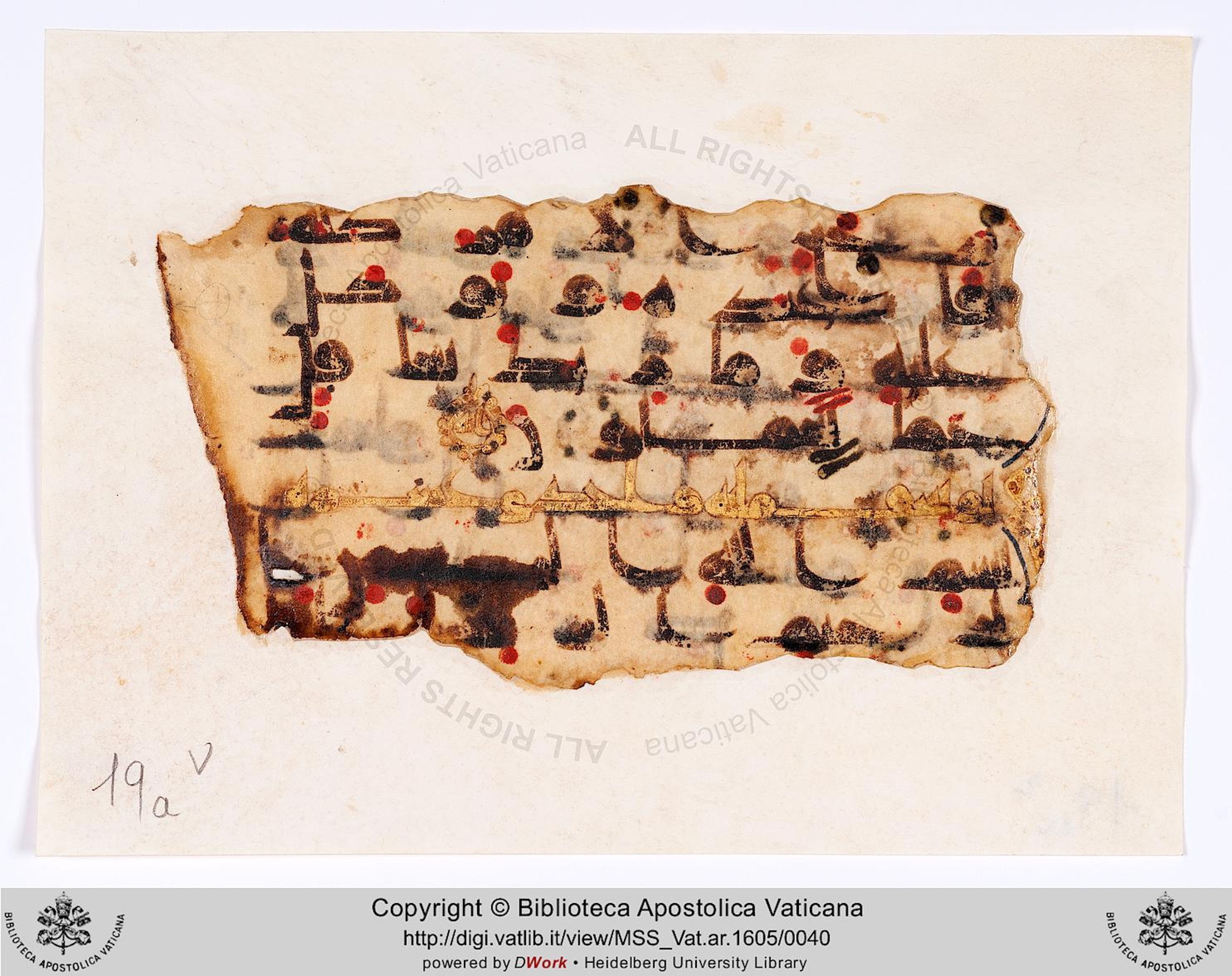 Vat. Ar. 1605 (19) (Scan 2), in Kūfī D.II script, showing Surah 11:123 from 8th to 9th Century AD found in Fustat (Old Cairo), Egypt, currently housed at Biblioteca Apostolica Vaticana, Rome