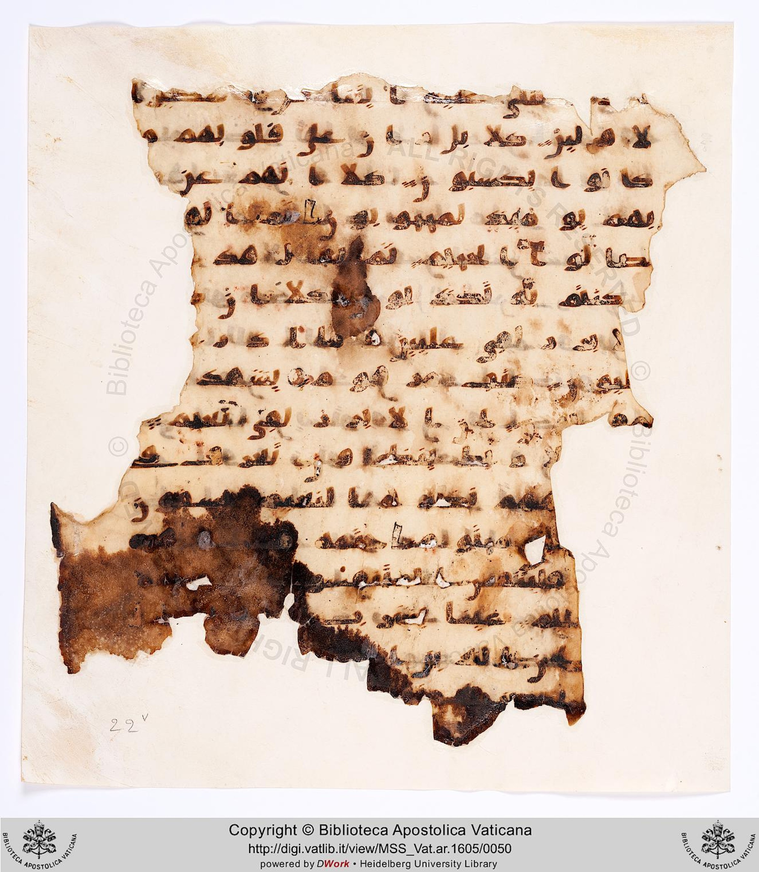 Vat. Ar. 1605 (22), in kūfī A.I script, showing Surah 83:21 from 8th Century AD found in Fustat (Old Cairo), Egypt, currently housed at Biblioteca Apostolica Vaticana, Rome