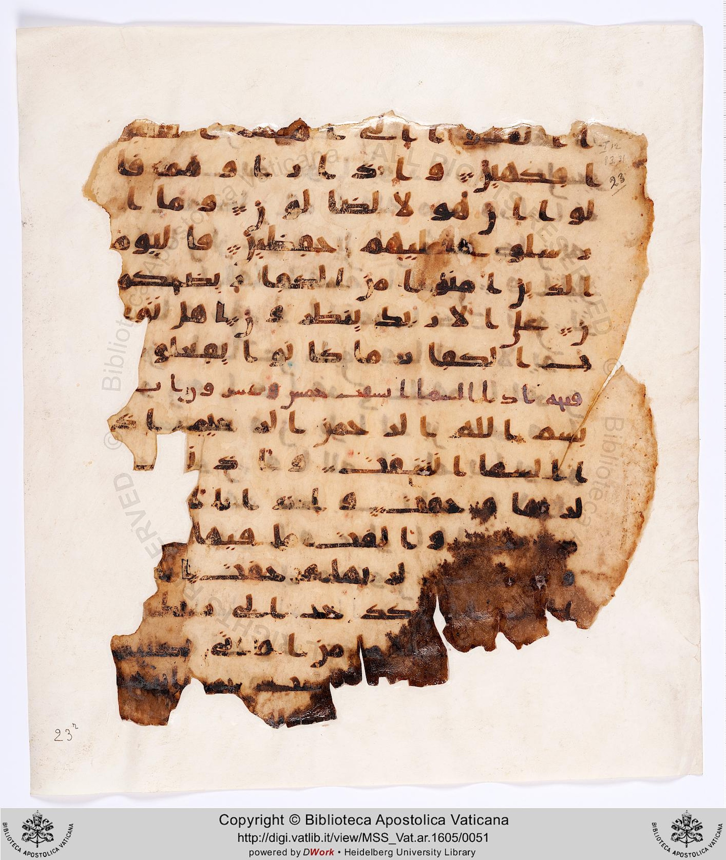 Rome, Biblioteca Apostolica Vaticana, Vat. Ar. 1605 (23), in kūfī A.I script, showing Surah 84:2 from 8th Century AD found in Fustat (Old Cairo), Egypt, currently housed at Biblioteca Apostolica Vaticana, Rome
