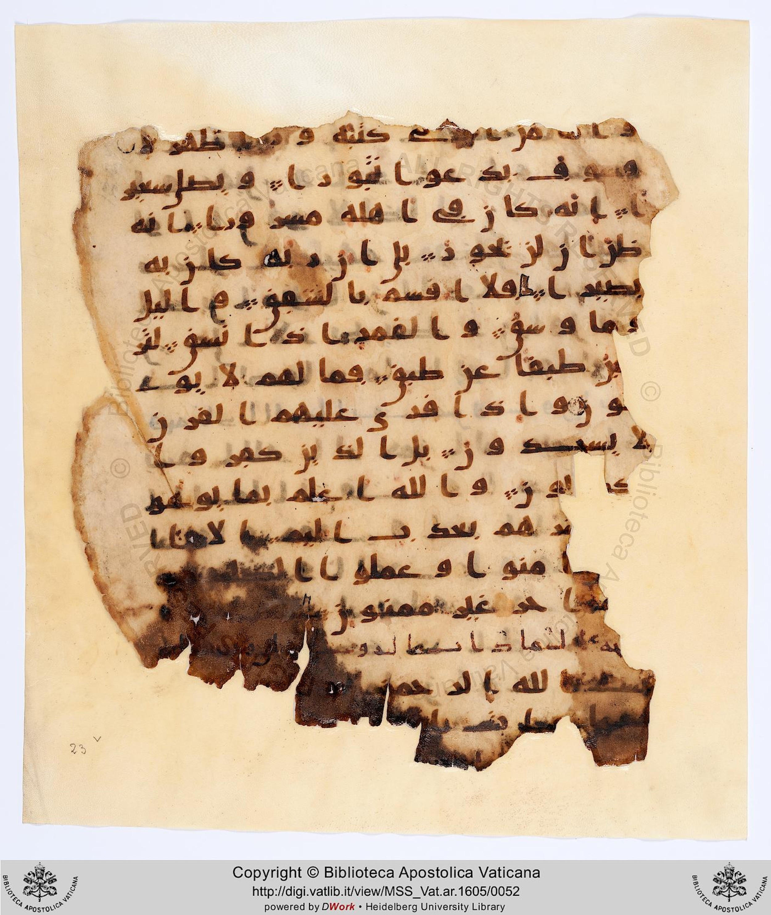 Rome, Biblioteca Apostolica Vaticana, Vat. Ar. 1605 (23), in kūfī A.I script, showing Surah 84:13 from 8th Century AD found in Fustat (Old Cairo), Egypt, currently housed at Biblioteca Apostolica Vaticana, Rome