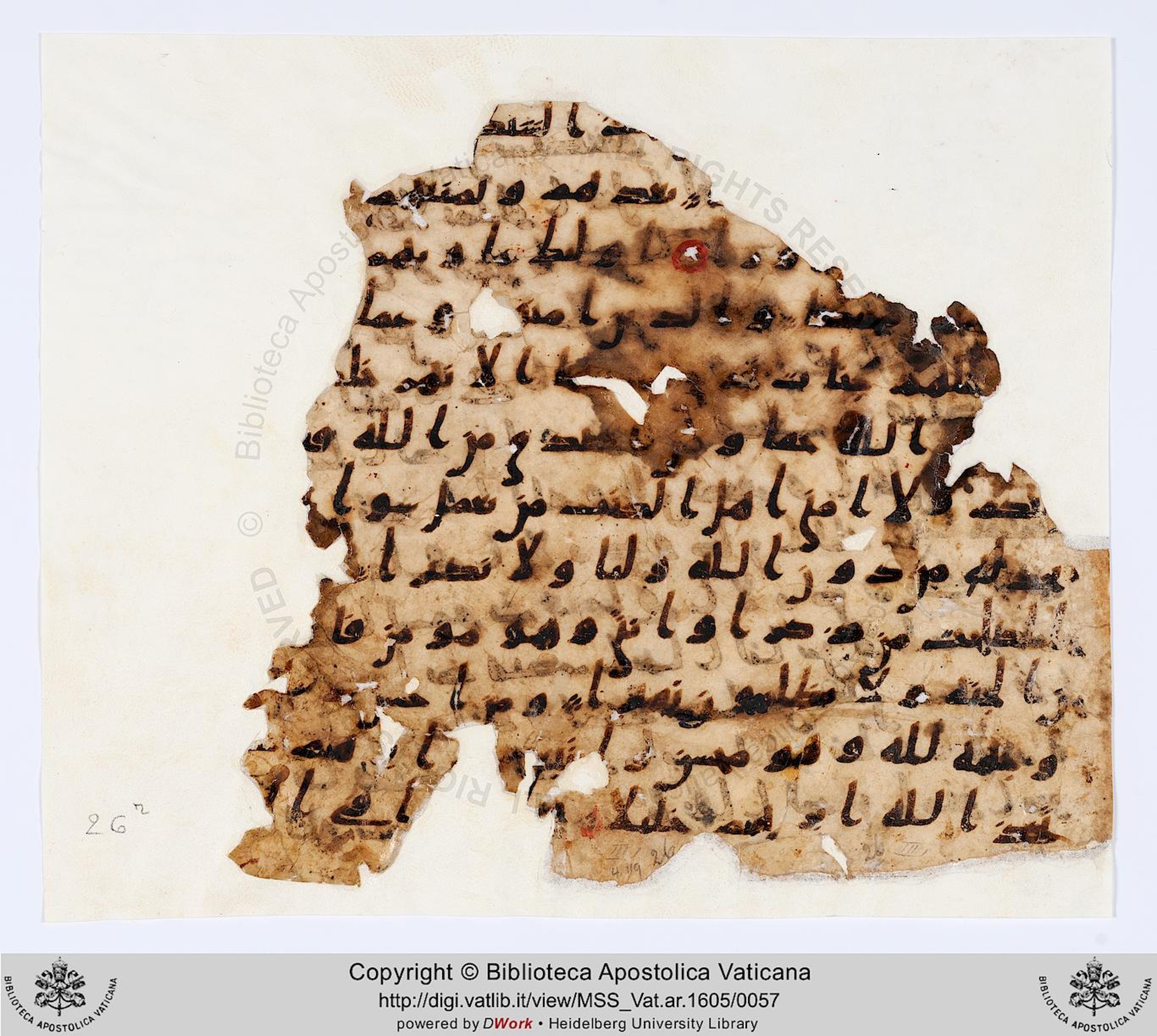 Vat. Ar. 1605 (26), in ḥiǧāzī III script, showing Surah 4:124 from 7th to 8th Century AD found in Fustat, Egypt, currently housed at Biblioteca Apostolica Vaticana, Rome