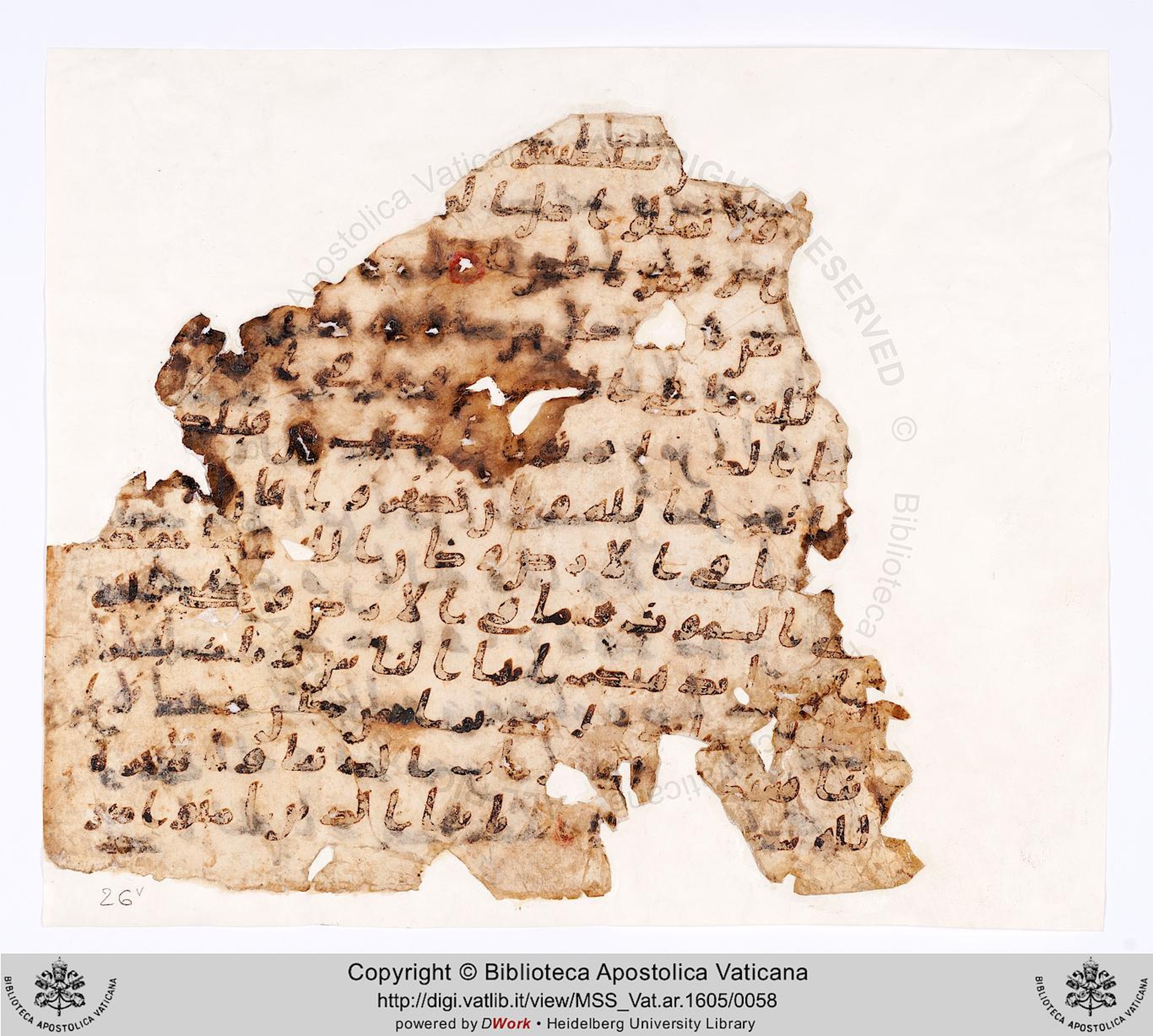 Vat. Ar. 1605 (26), in ḥiǧāzī III script, showing Surah 4:129 from 7th to 8th Century AD found in Fustat, Egypt, currently housed at Biblioteca Apostolica Vaticana, Rome