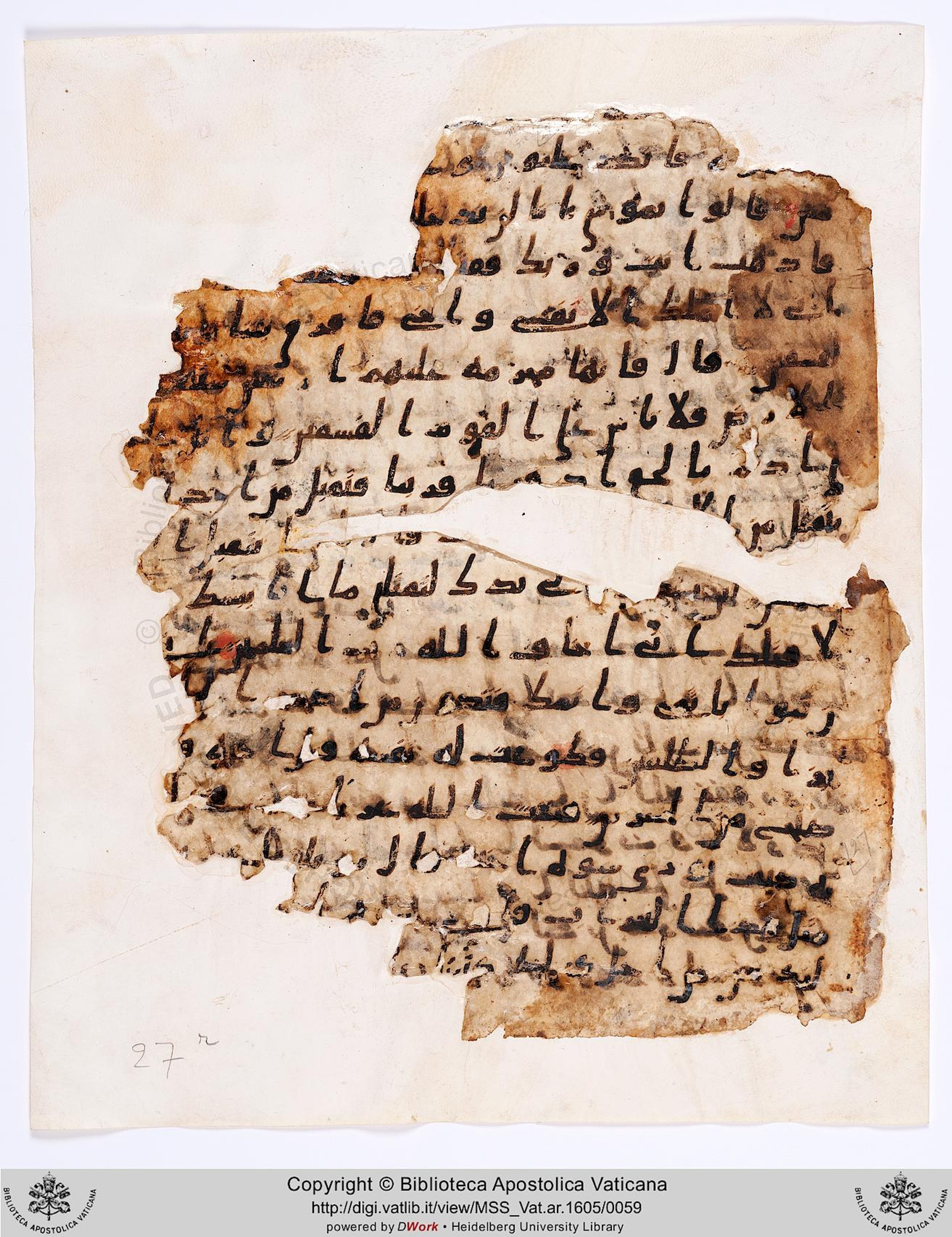 Vat. Ar. 1605 (27), in Ḥiǧāzī III script, showing Surah 5:32 from 8th Century AD found in Fustat (Old Cairo), Egypt, currently housed at Biblioteca Apostolica Vaticana, Rome