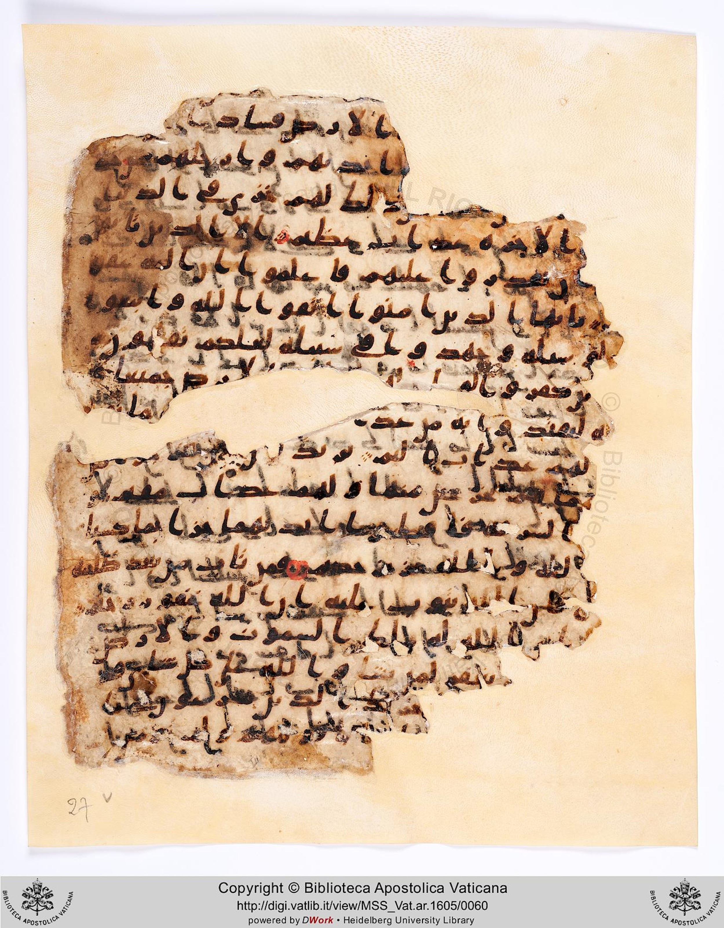 Vat. Ar. 1605 (27), in Ḥiǧāzī III script, showing Surah 5:39 from 8th Century AD found in Fustat (Old Cairo), Egypt, currently housed at Biblioteca Apostolica Vaticana, Rome