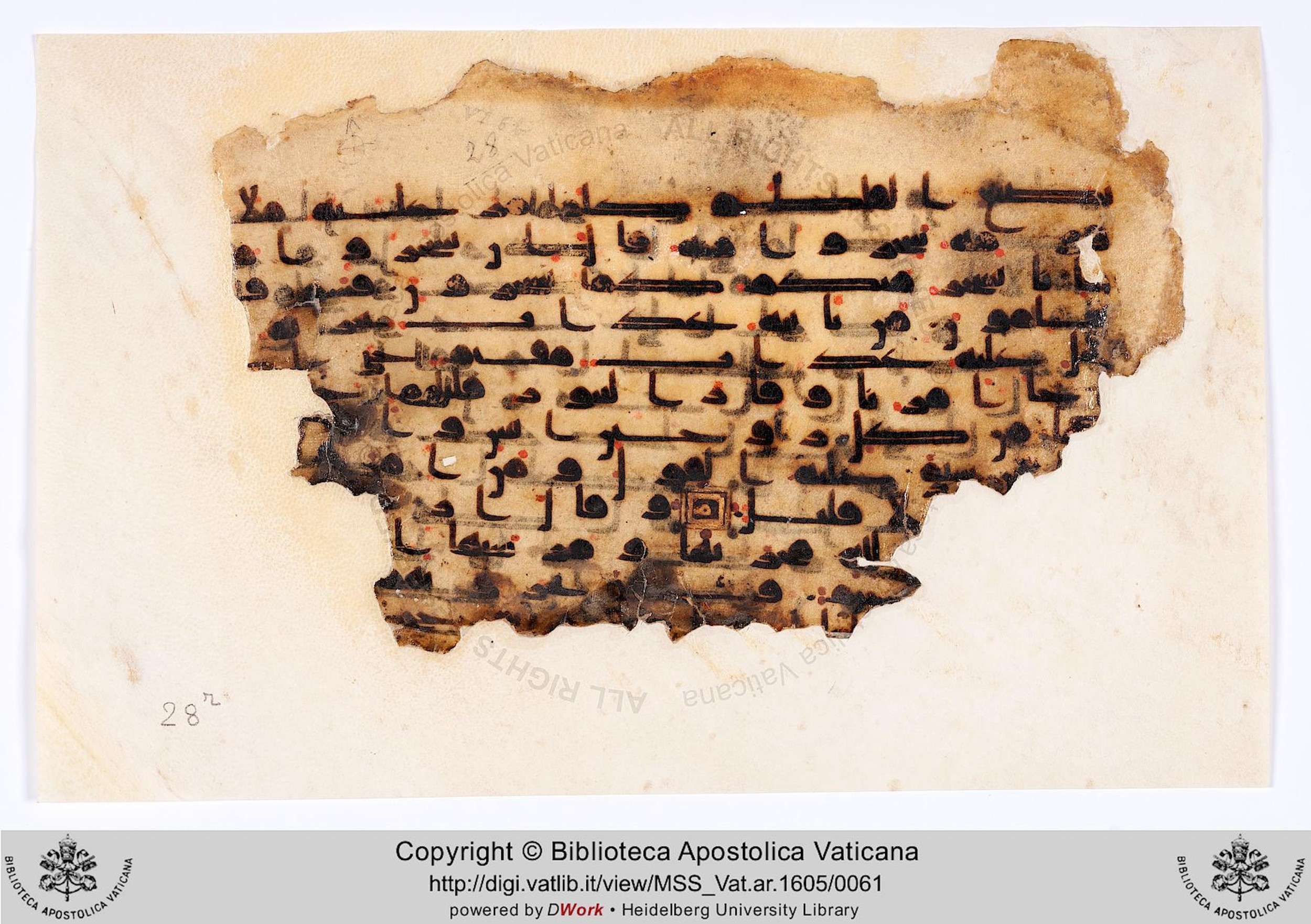 Rome, Biblioteca Apostolica Vaticana, Vat. Ar. 1605 (28), in kūfī D script, showing Surah 11:39 from 8th to 9th Century AD found in al-Fusṭāṭ (Old Cairo), Egypt, currently housed at Biblioteca Apostolica Vaticana, Rome