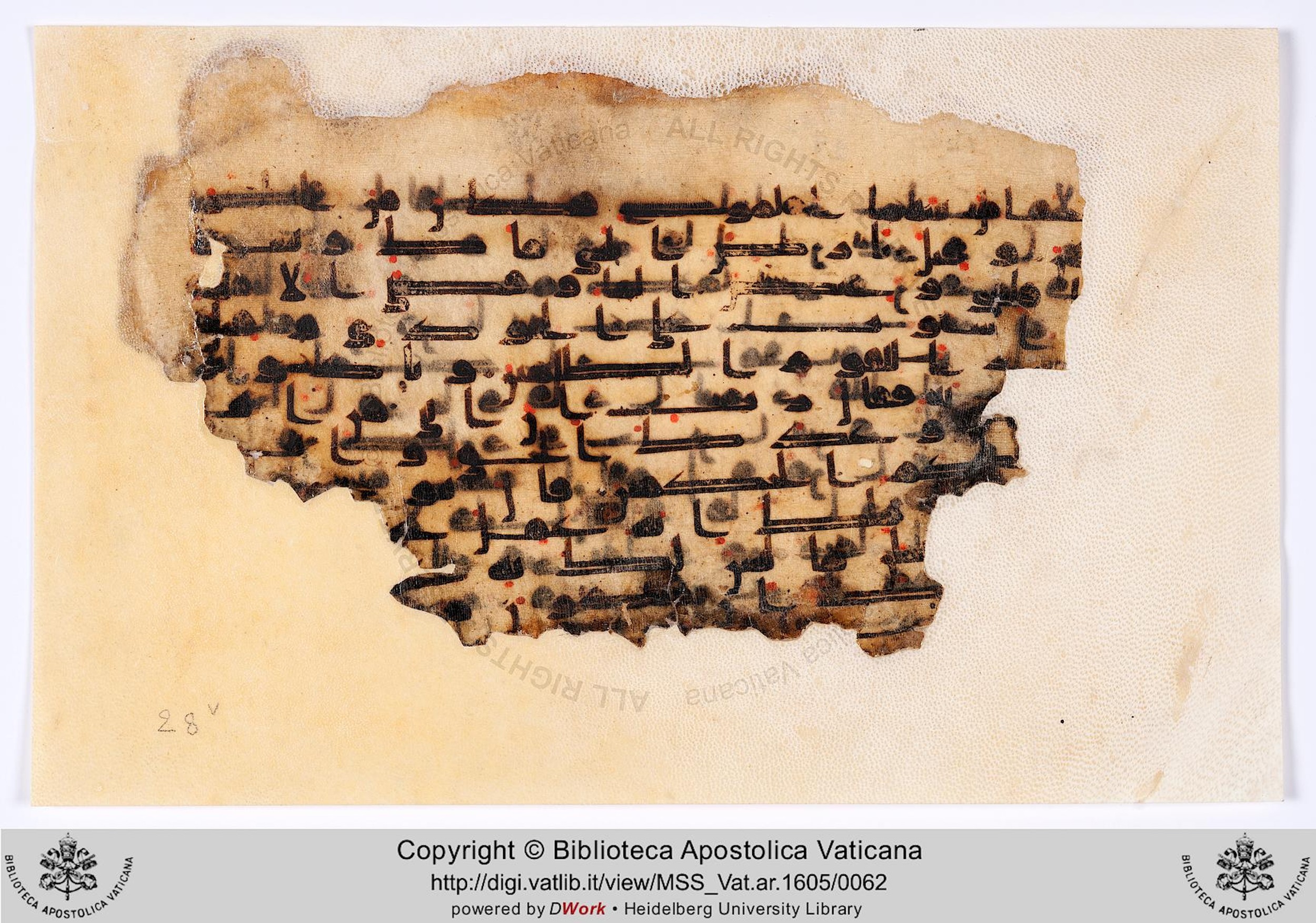 Rome, Biblioteca Apostolica Vaticana, Vat. Ar. 1605 (28), in kūfī D script, showing Surah 11:45 from 8th to 9th Century AD found in al-Fusṭāṭ (Old Cairo), Egypt, currently housed at Biblioteca Apostolica Vaticana, Rome