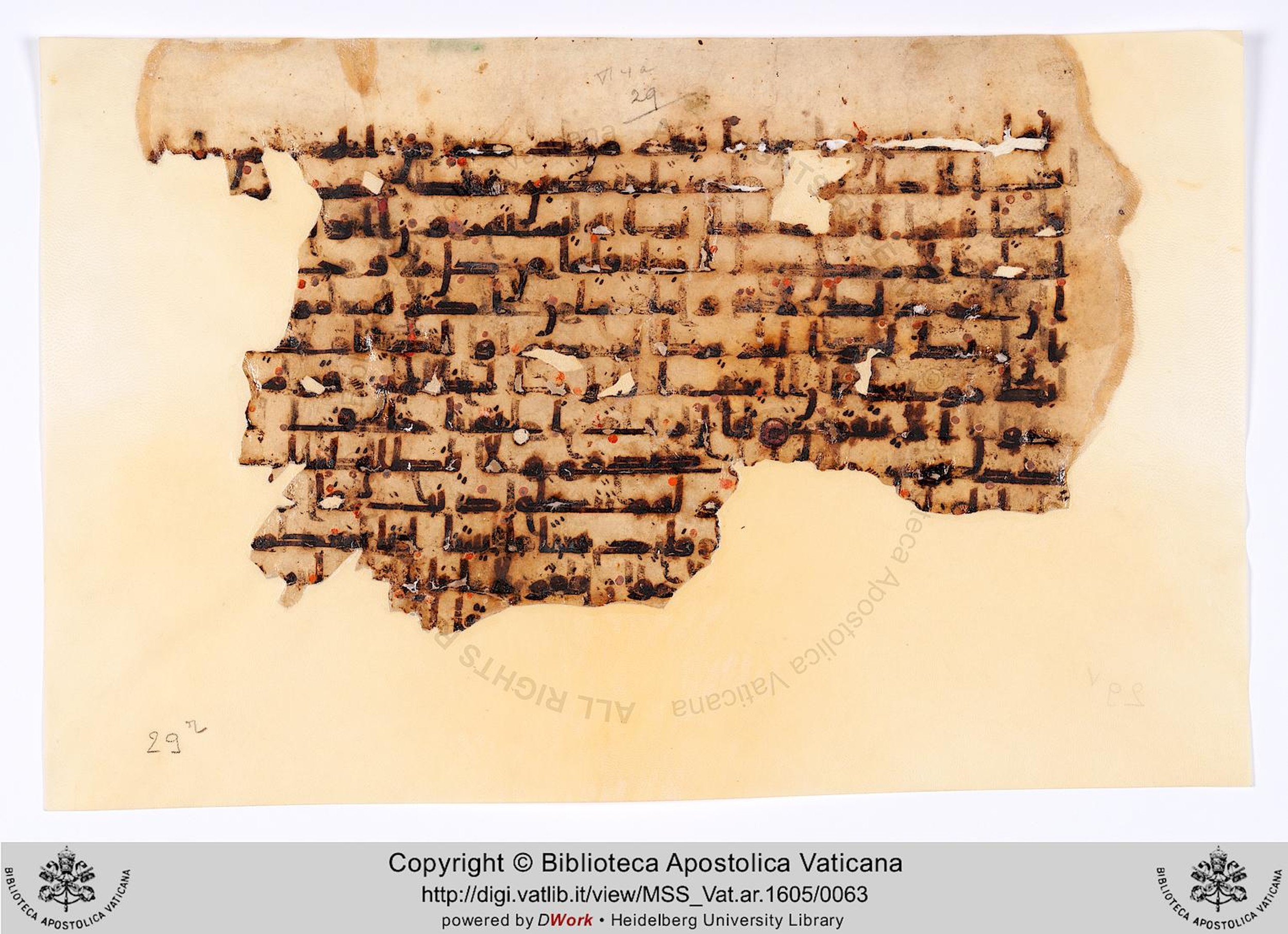 Rome, Biblioteca Apostolica Vaticana, Vat. Ar. 1605 (29), in kūfī B.I script, showing Surah 26:13 from 8th to 9th Century AD found in Fustat (Old Cairo), Egypt, currently housed at Biblioteca Apostolica Vaticana, Rome