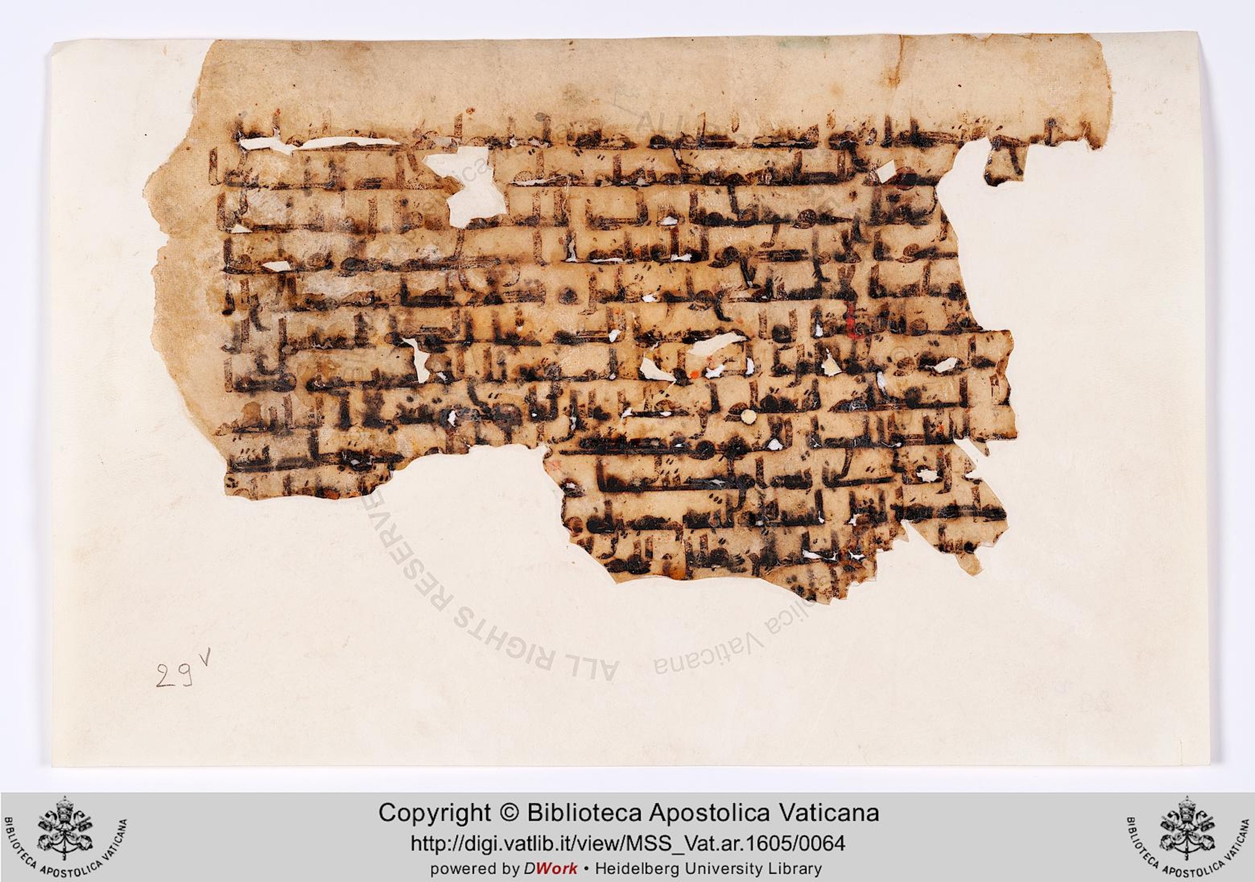 Rome, Biblioteca Apostolica Vaticana, Vat. Ar. 1605 (29), in kūfī B.I script, showing Surah 26:32 from 8th to 9th Century AD found in Fustat (Old Cairo), Egypt, currently housed at Biblioteca Apostolica Vaticana, Rome