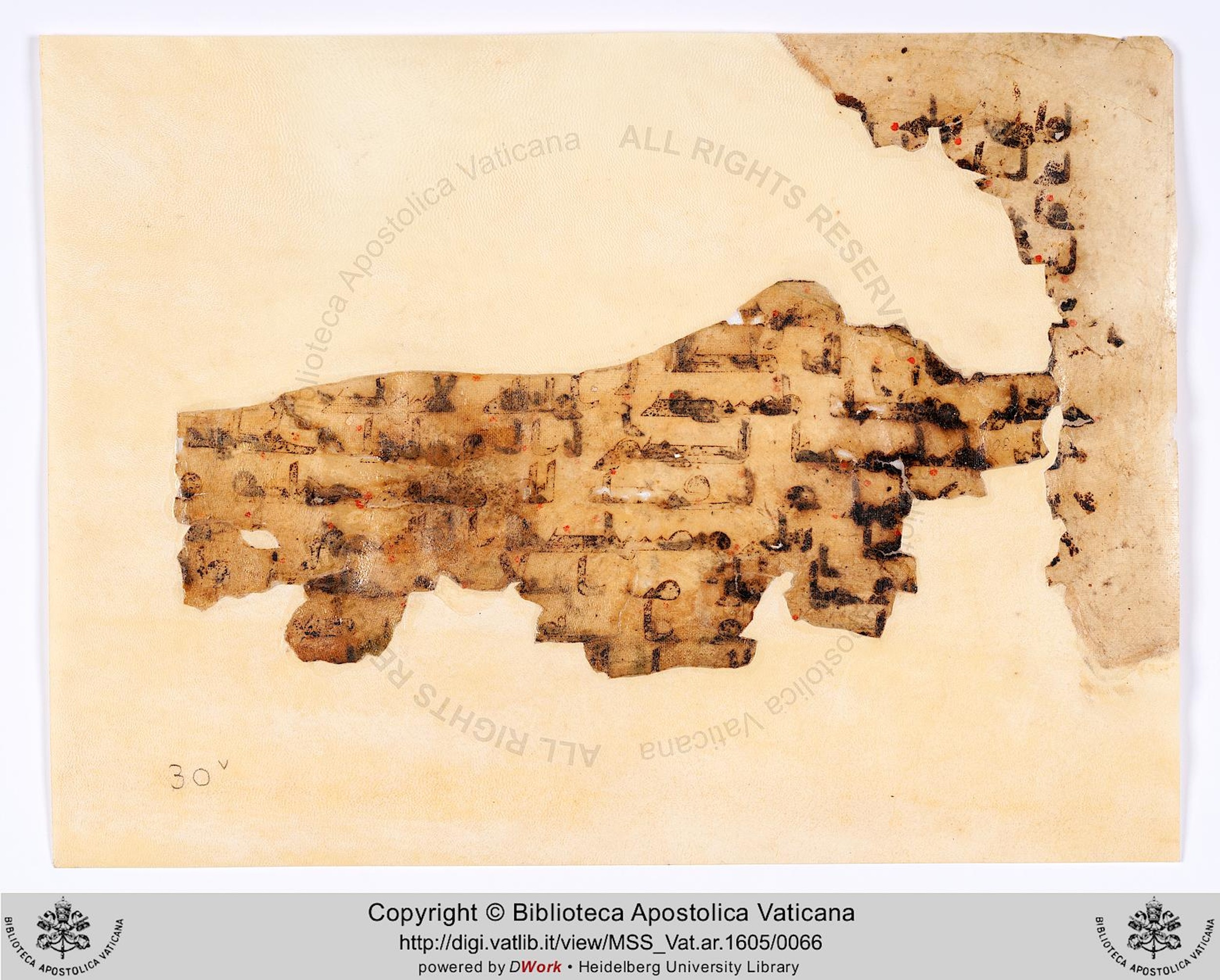 Vat. Ar. 1605 (30), in kūfī B.II script, showing Surah 9:18 from 8th to 9th Century AD found in Fustat (Old Cairo), Egypt, currently housed at Biblioteca Apostolica Vaticana, Rome