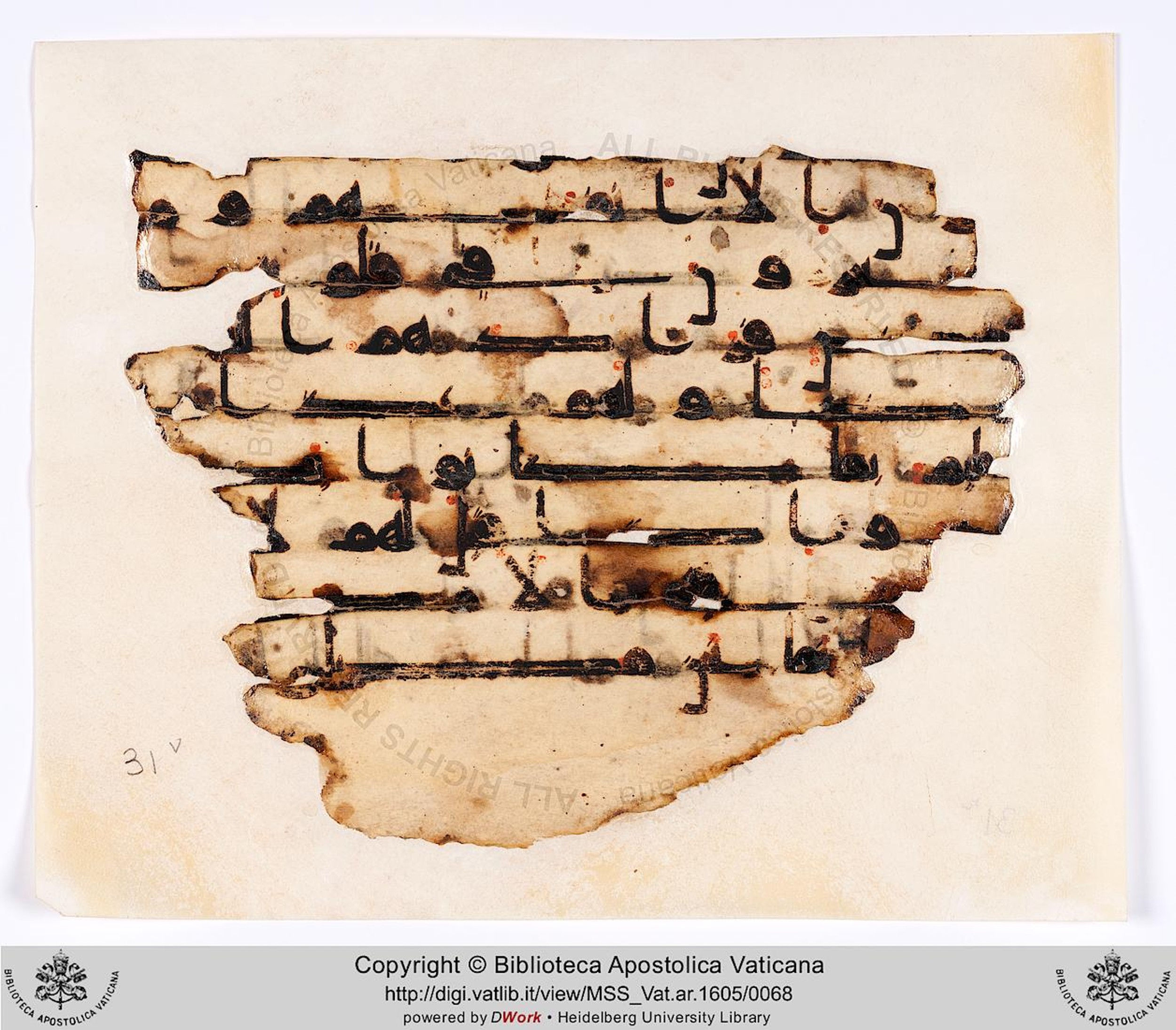 Vat. Ar. 1605 (31), in Kūfī D.I script, showing Surah 2:9 from 8th to 9th Century AD found in Fustat (Old Cairo), Egypt, currently housed at Biblioteca Apostolica Vaticana, Rome