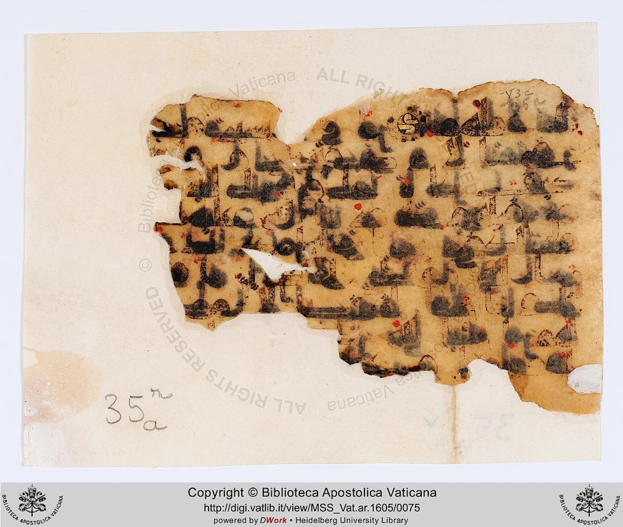 Rome, Biblioteca Apostolica Vaticana, Vat. Ar. 1605 (35), in kūfī D.IV script, showing Surah 47:8 from 8th to 9th Century AD found in Fustat (Old Cairo), Egypt, currently housed at Biblioteca Apostolica Vaticana, Rome