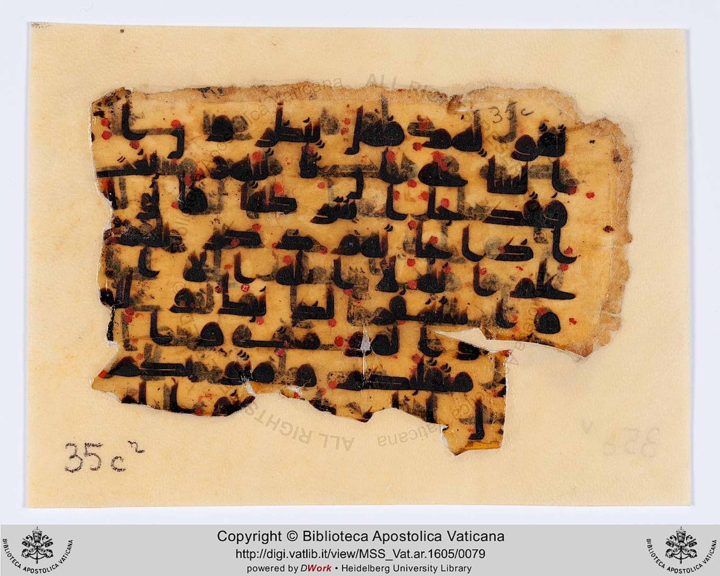 Rome, Biblioteca Apostolica Vaticana, Vat. Ar. 1605 (35) (Scan 2), in kūfī D.IV script, showing Surah 47:17 from 8th to 9th Century AD found in Fustat (Old Cairo), Egypt, currently housed at Biblioteca Apostolica Vaticana, Rome