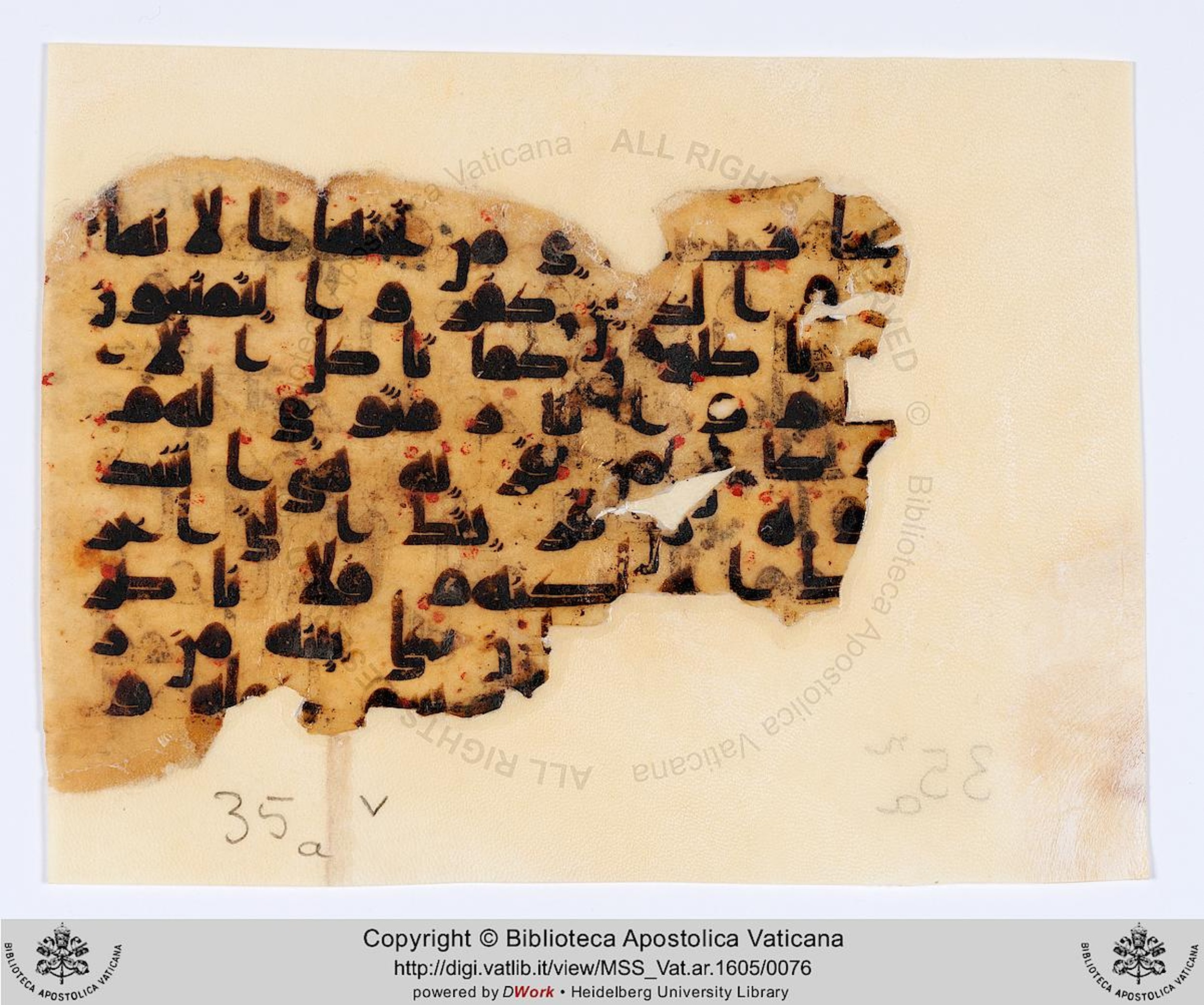 Rome, Biblioteca Apostolica Vaticana, Vat. Ar. 1605 (35), in kūfī D.IV script, showing Surah 47:13 from 8th to 9th Century AD found in Fustat (Old Cairo), Egypt, currently housed at Biblioteca Apostolica Vaticana, Rome
