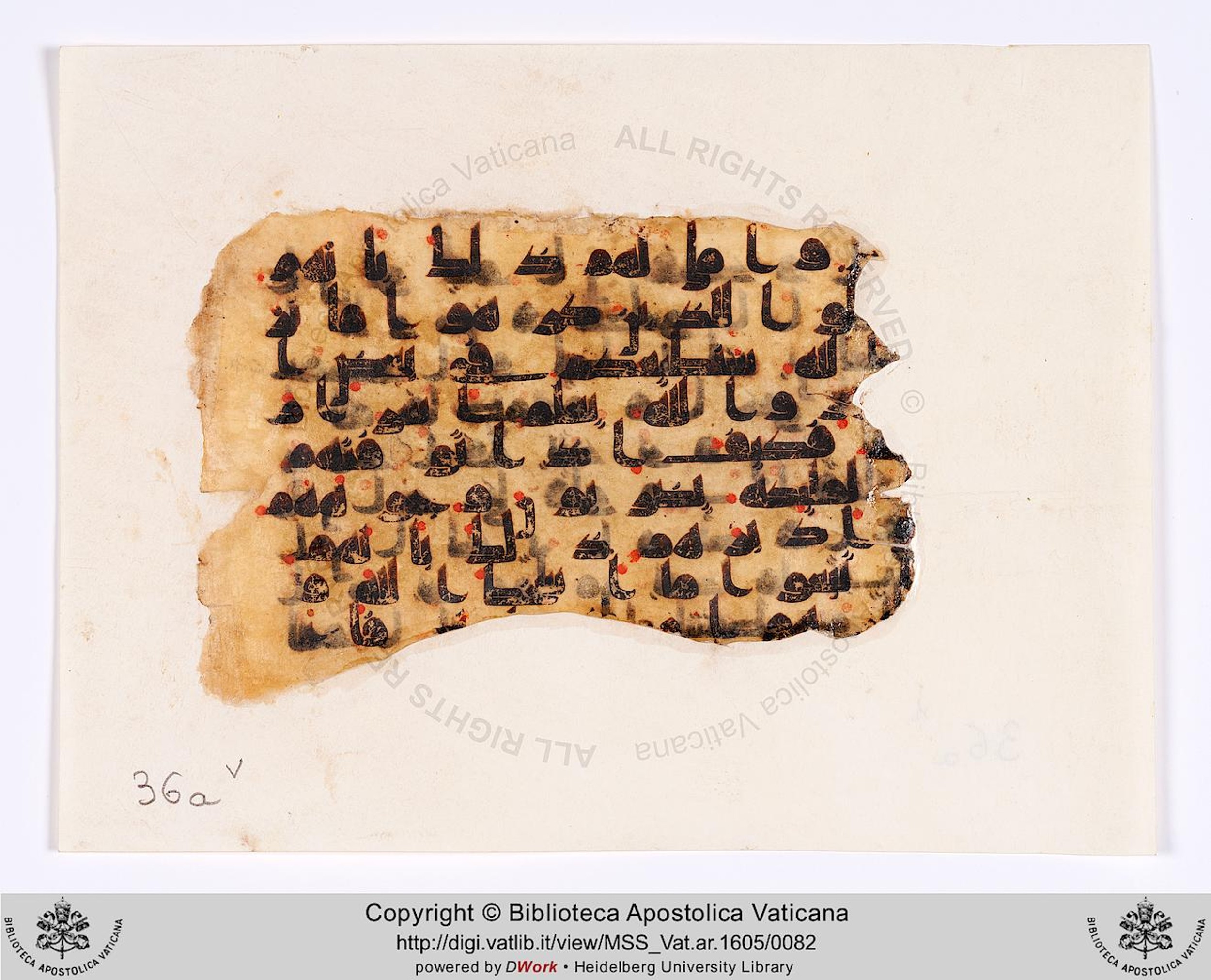 Rome, Biblioteca Apostolica Vaticana, Vat. Ar. 1605 (36) (Scan 2), in kūfī D.IV script, showing Surah 47:28 from 8th to 9th Century AD found in Fustat (Old Cairo), Egypt, currently housed at Biblioteca Apostolica Vaticana, Rome