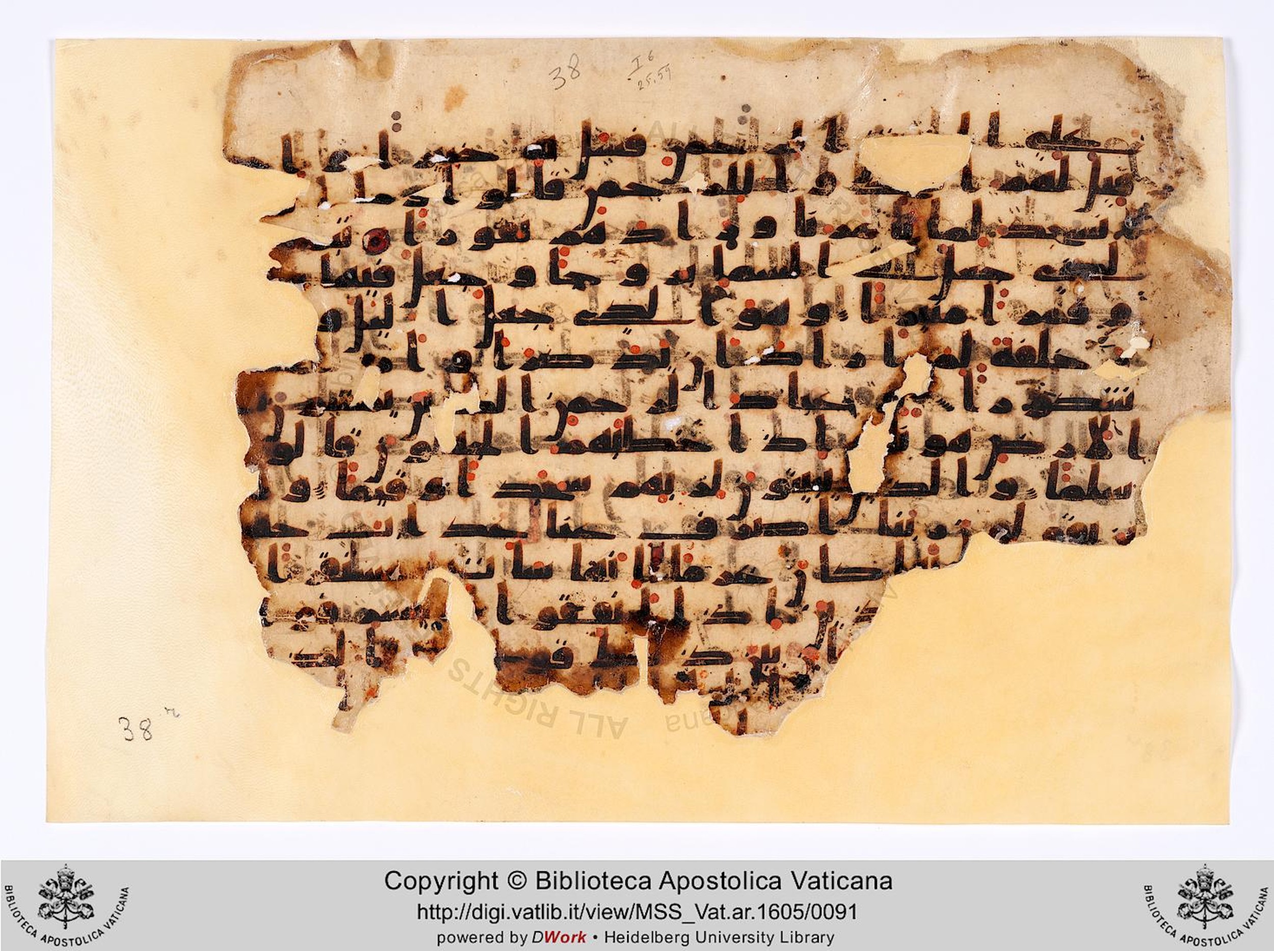Codex Parisino-petropolitanus (Vat. Ar. 1605), in kūfī C script, showing Surah 25:63 from 8th to 9th Century AD found in Fustat (Old Cairo), Egypt, currently housed at Biblioteca Apostolica Vaticana, Rome