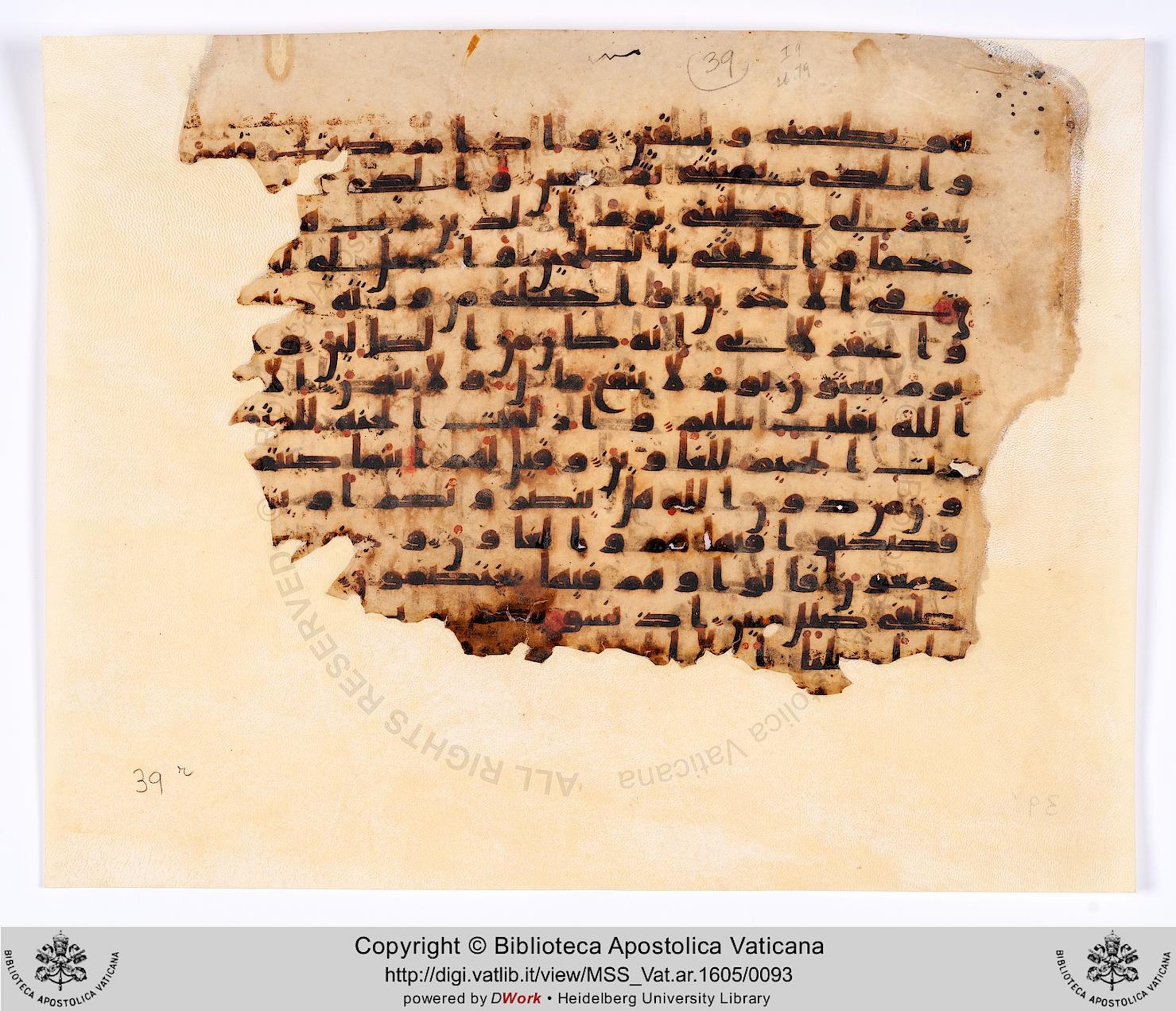 Rome, Biblioteca Apostolica Vaticana, Vat. Ar. 1605 (39), in Kūfī C script, showing Surah 26:97 from 8th to 9th Century AD found in al-Fusṭāṭ (Old Cairo), Egypt, currently housed at Biblioteca Apostolica Vaticana, Rome