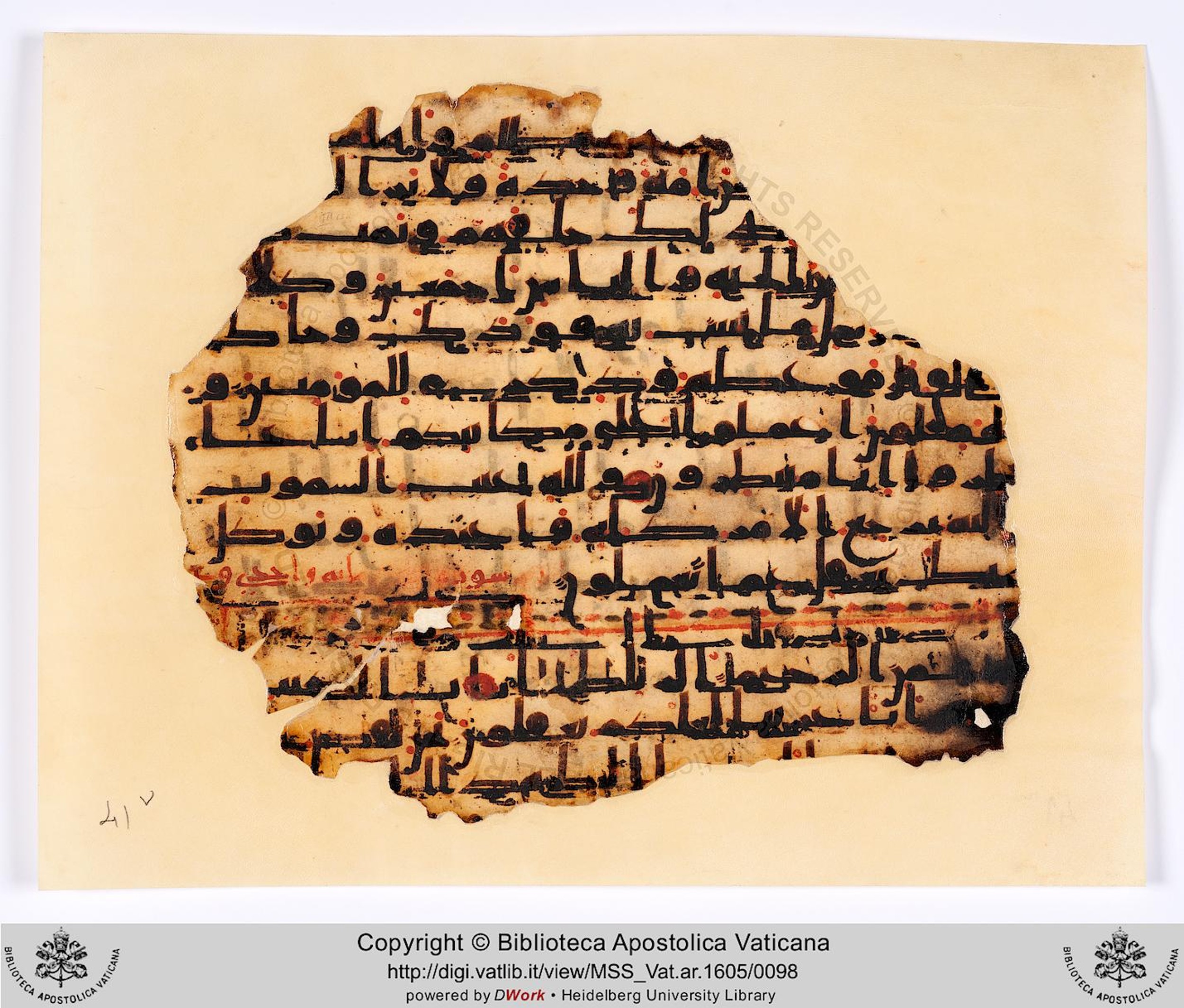 Vat. Ar. 1605 (41), in kūfī C.Ia script, showing Surah 12:3 from 8th to 9th Century AD found in Fustat (Old Cairo), Egypt, currently housed at Biblioteca Apostolica Vaticana, Rome