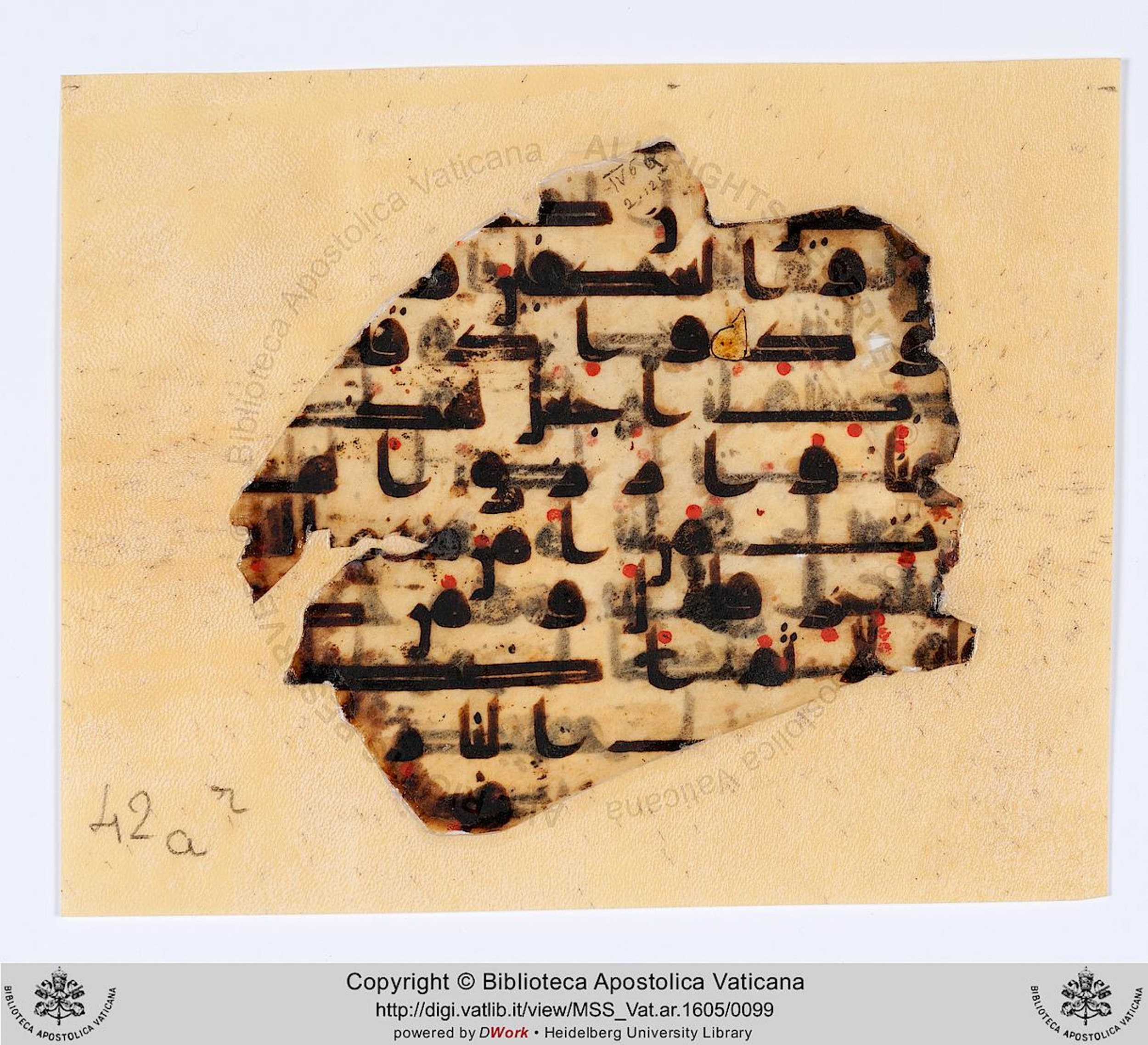 Biblioteca Apostolica Vaticana, Vat. Ar. 1605 (42) (Scan 1), in kūfī D script, showing Surah 2:127 from 8th to 9th Century AD found in Fustat (Old Cairo), Egypt, currently housed at Biblioteca Apostolica Vaticana, Rome