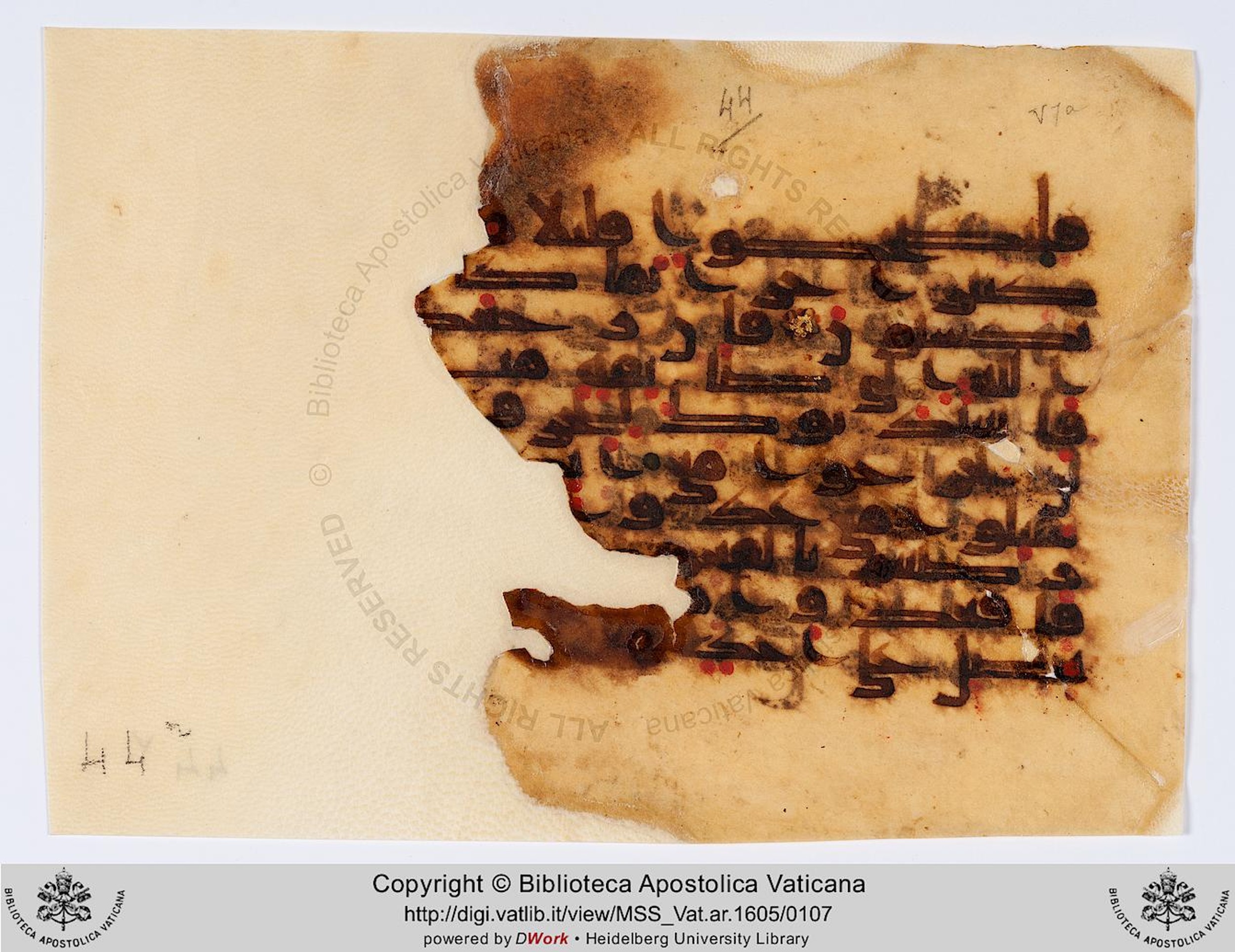 Vat. Ar. 1605 (44), in kūfī D.II script, showing Surah 9:83 from 8th to 9th Century AD found in Fustat (Old Cairo), Egypt, currently housed at Biblioteca Apostolica Vaticana, Rome