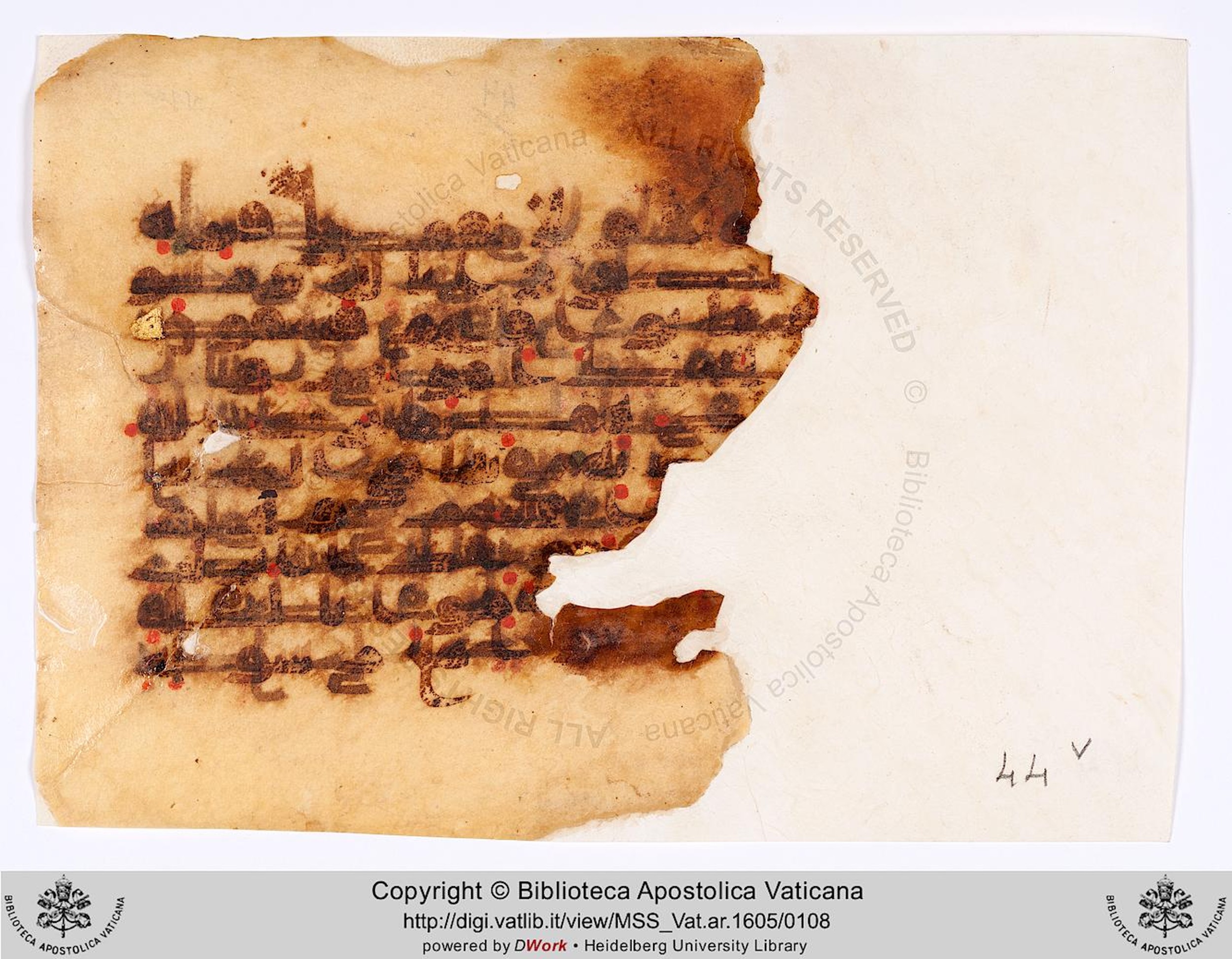 Vat. Ar. 1605 (44), in kūfī D.II script, showing Surah 9:86 from 8th to 9th Century AD found in Fustat (Old Cairo), Egypt, currently housed at Biblioteca Apostolica Vaticana, Rome