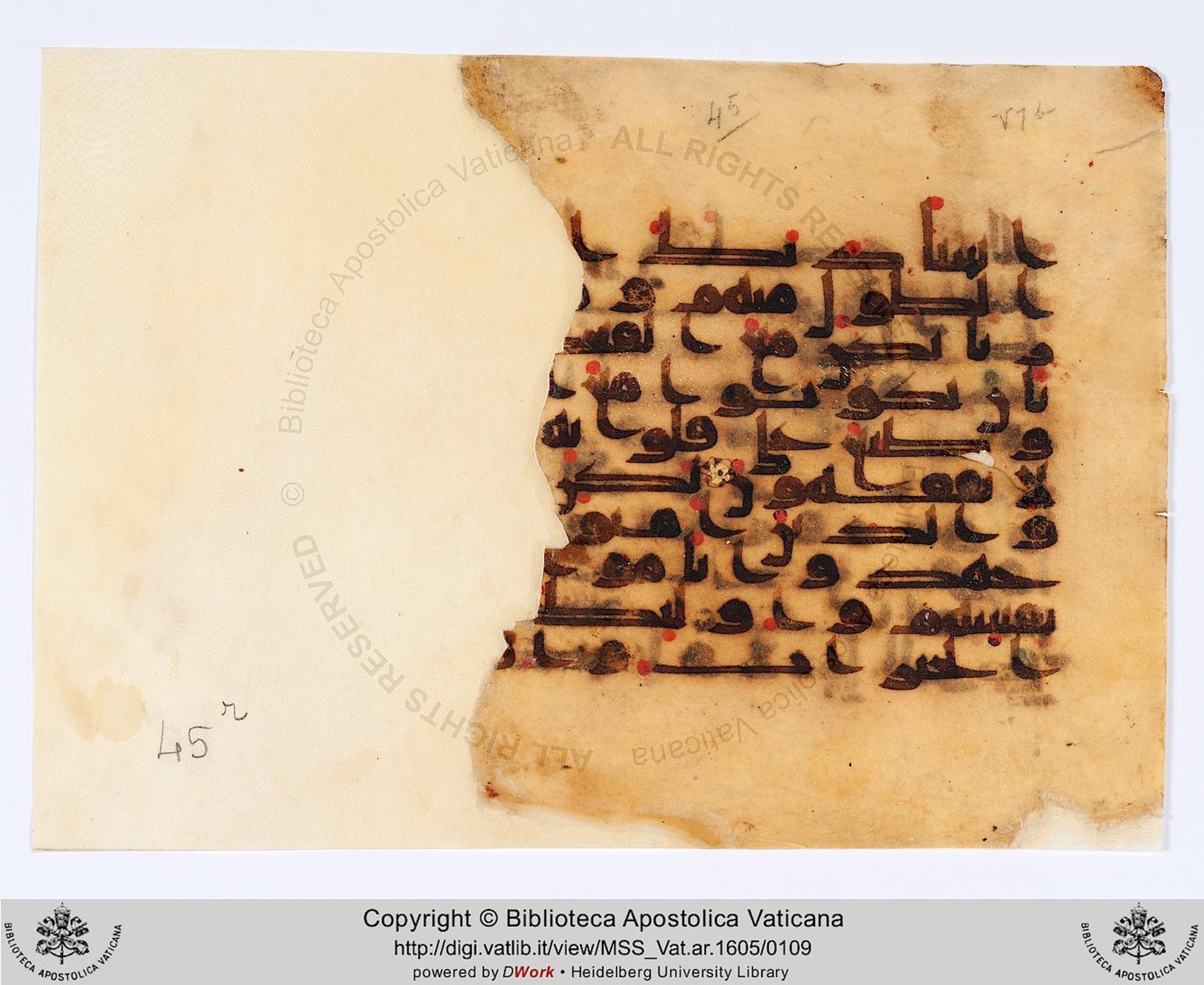 Vat. Ar. 1605 (45), in kūfī D.II script, showing Surah 9:87 from 8th to 9th Century AD found in Fustat (Old Cairo), Egypt, currently housed at Biblioteca Apostolica Vaticana, Rome