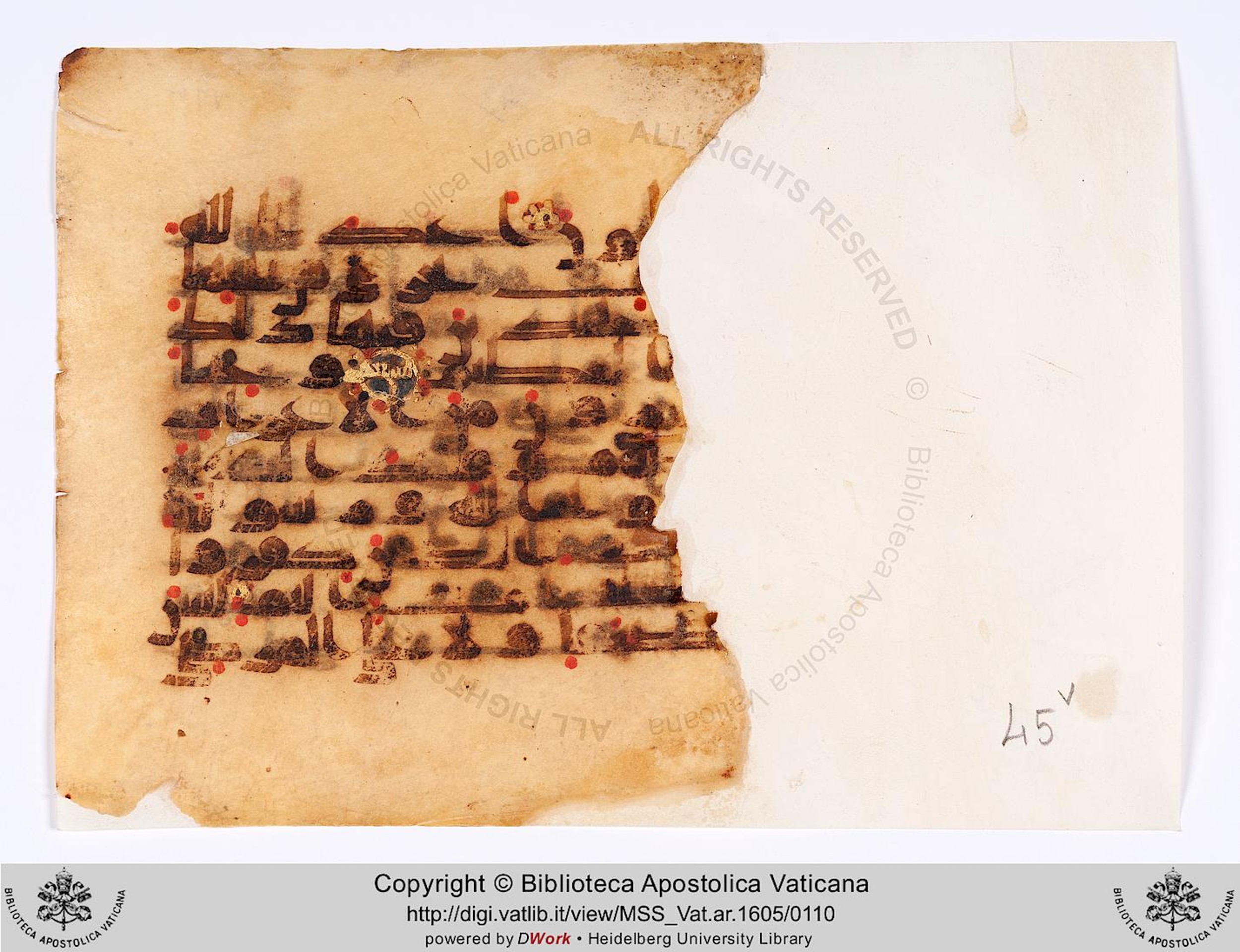 Vat. Ar. 1605 (45), in kūfī D.II script, showing Surah 9:91 from 8th to 9th Century AD found in Fustat (Old Cairo), Egypt, currently housed at Biblioteca Apostolica Vaticana, Rome