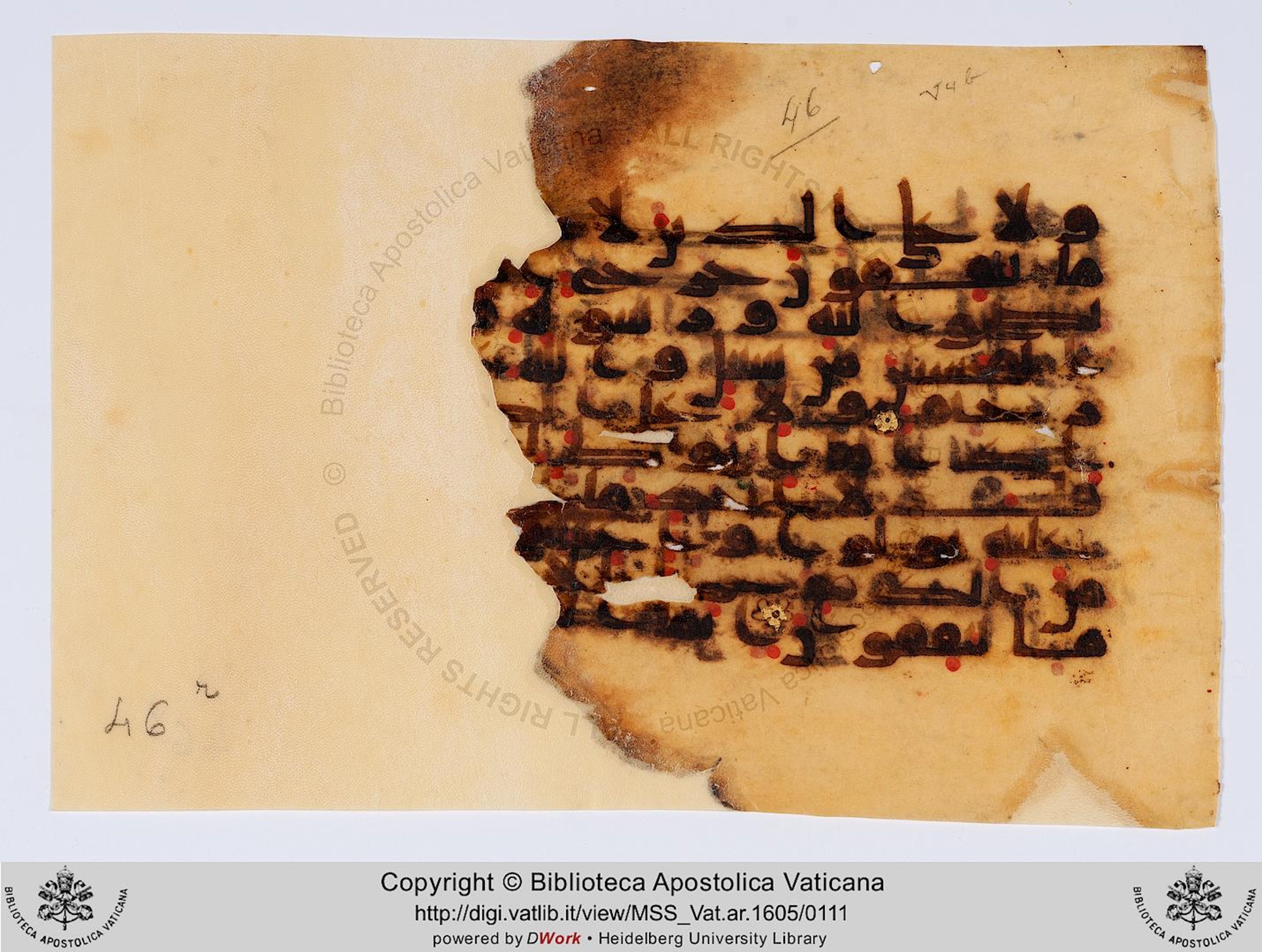 Rome, Biblioteca Apostolica Vaticana, Vat. Ar. 1605 (46), in kūfī D.II script, showing Surah 9:91 from 8th to 9th Century AD found in al-Fusṭāṭ (Old Cairo), Egypt, currently housed at Biblioteca Apostolica Vaticana, Rome