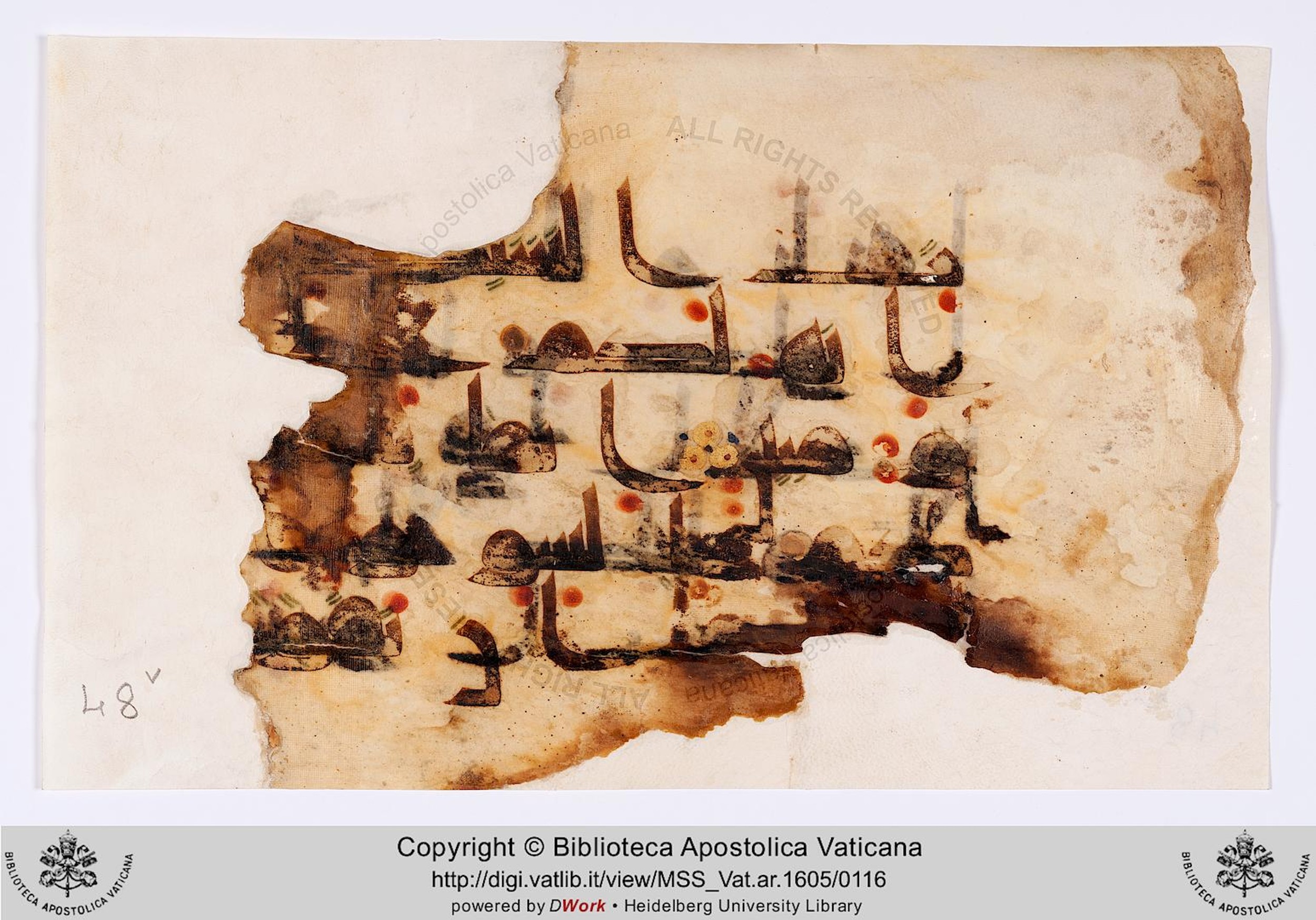 Rome, Biblioteca Apostolica Vaticana, Vat. Ar. 1605 (48), in kūfī D script, showing Surah 2:169 from 8th to 9th Century AD found in Unknown, currently housed at Biblioteca Apostolica Vaticana, Rome