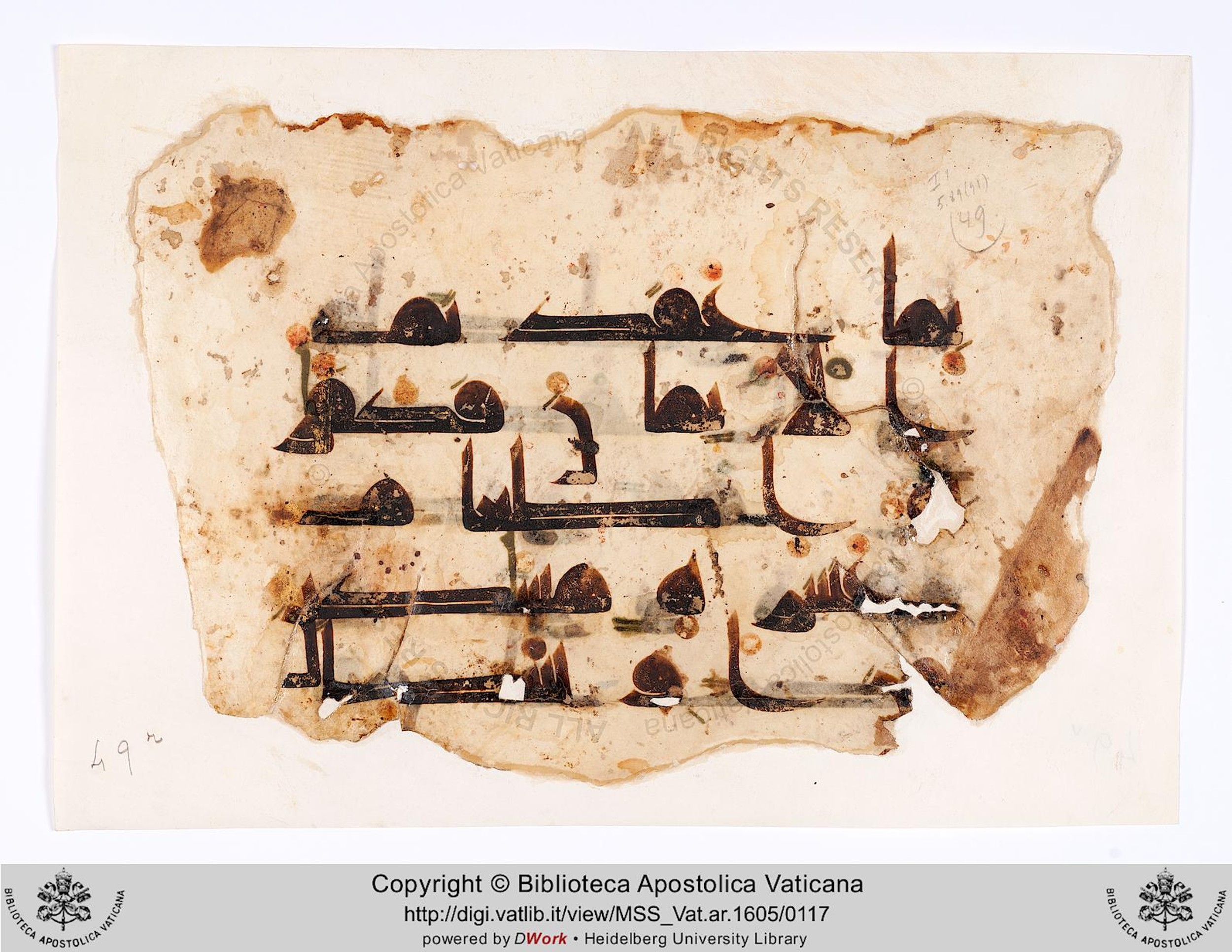 Rome, Biblioteca Apostolica Vaticana, Vat. Ar. 1605 (49) (Scan 1), in kūfī D.II script, showing Surah 5:89 from 8th to 9th Century AD found in Unknown, currently housed at Biblioteca Apostolica Vaticana, Rome